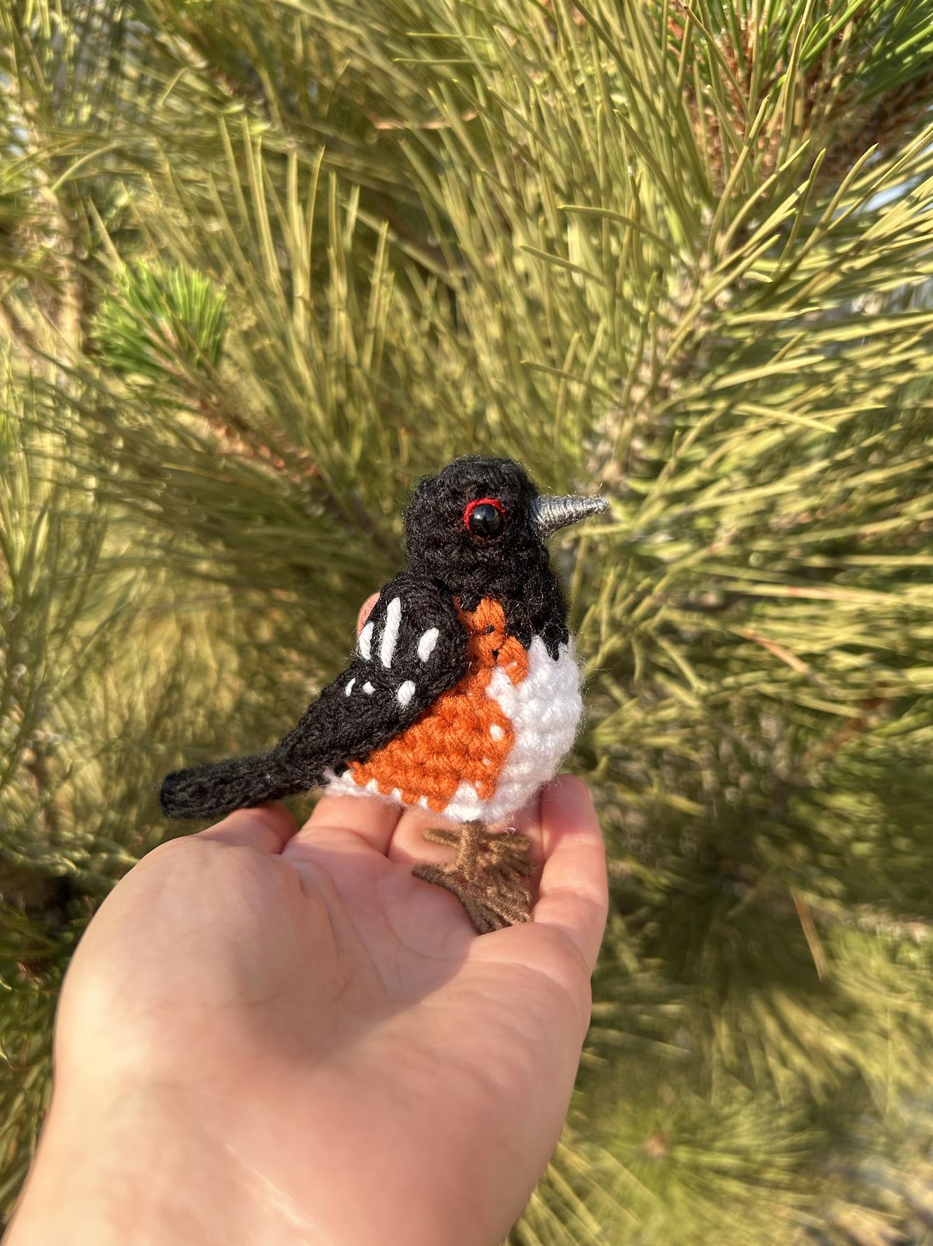 Birds of Colorado Crochet Pattern Collection | DIGITAL PDFs