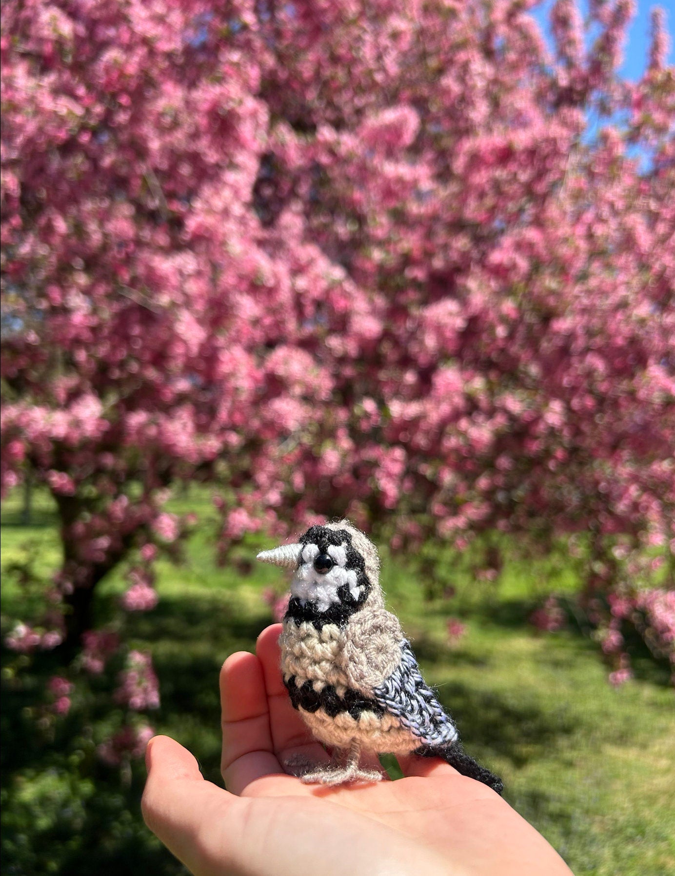 Owl Finch Plush