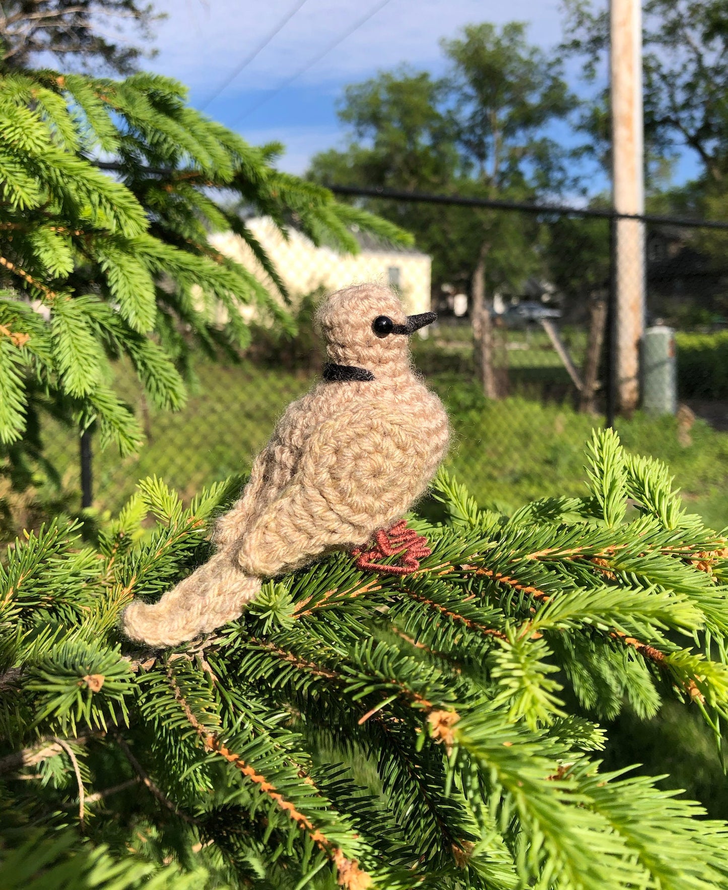Ring-necked Dove Written Crochet Pattern | DIGITAL PDF