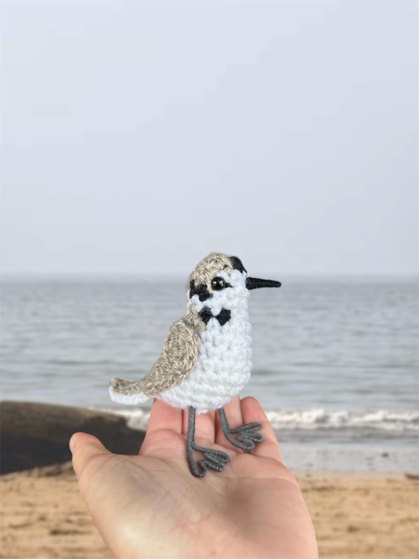 Snowy Plover Plush