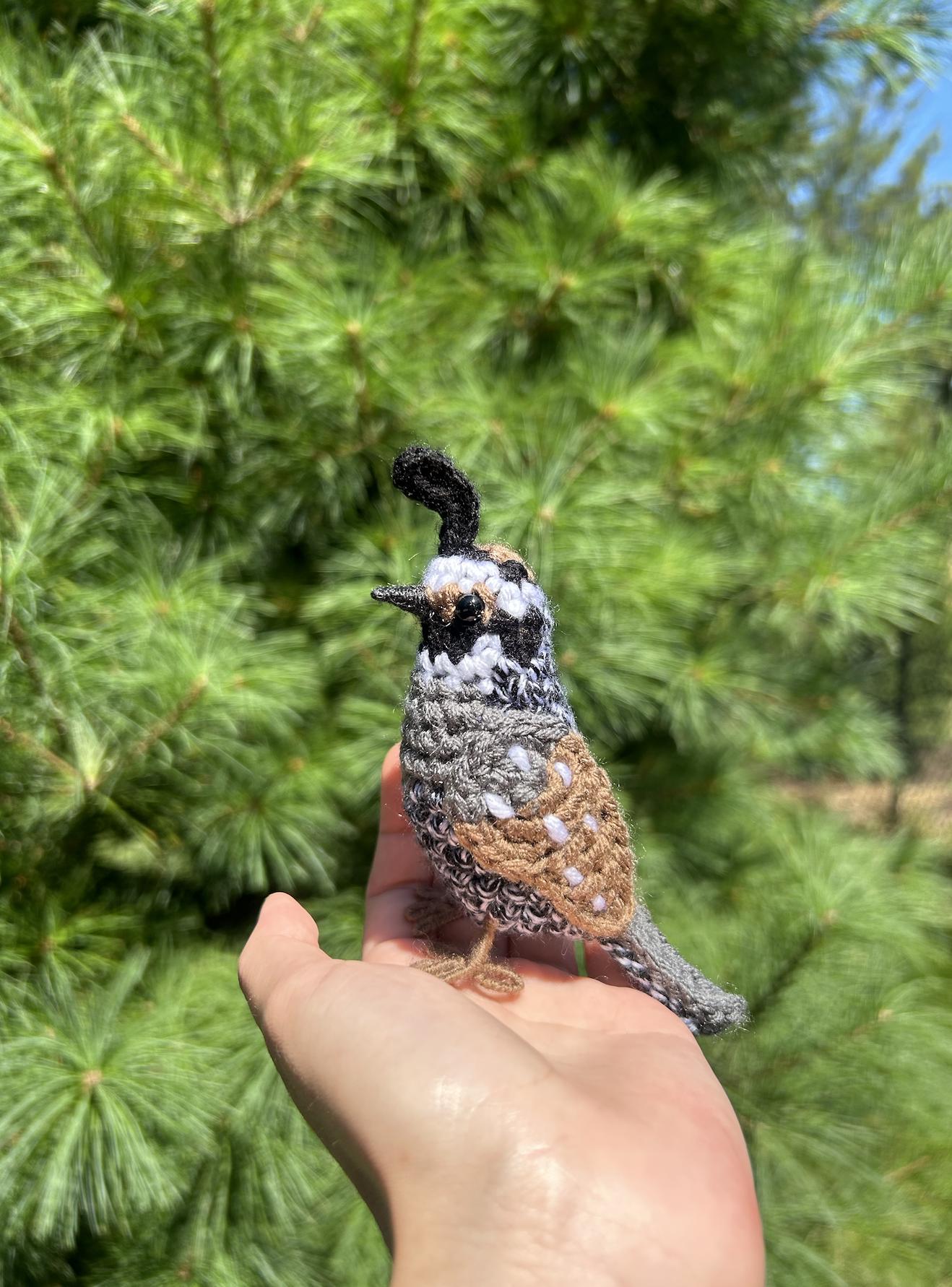California Quail Written Crochet Pattern | DIGITAL PDF