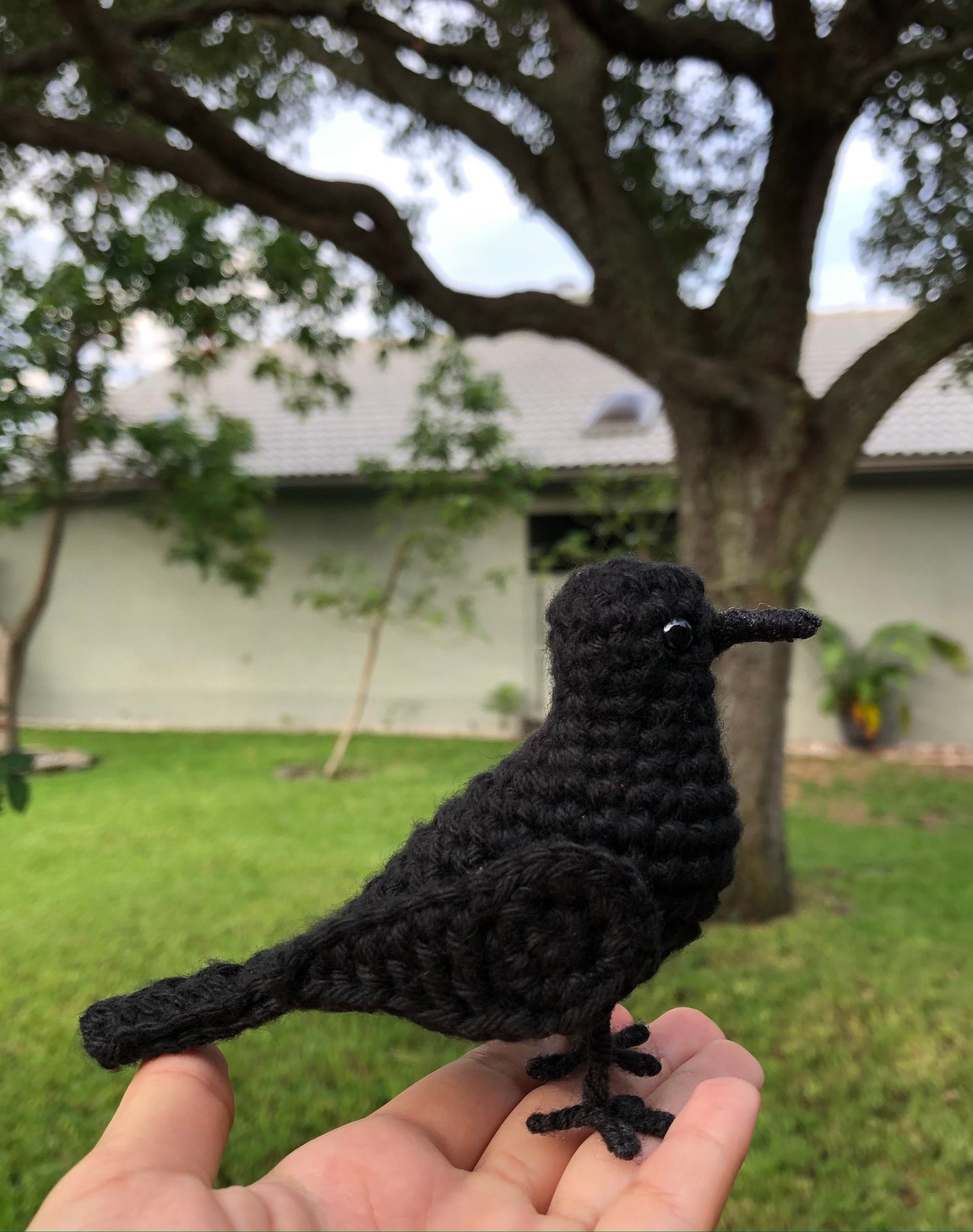 Little Crow Written Crochet Pattern | DIGITAL PDF