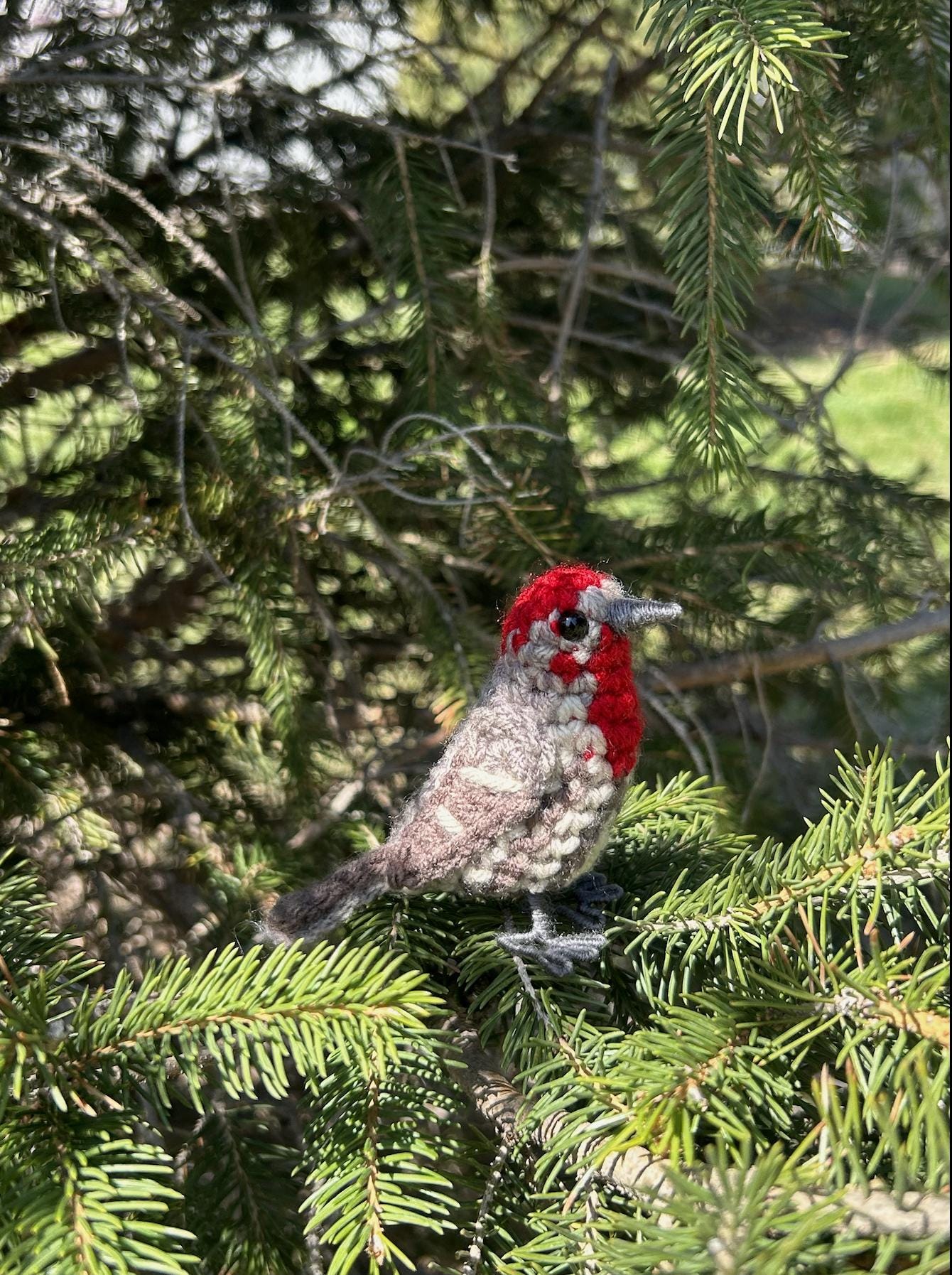 House Finch Plush