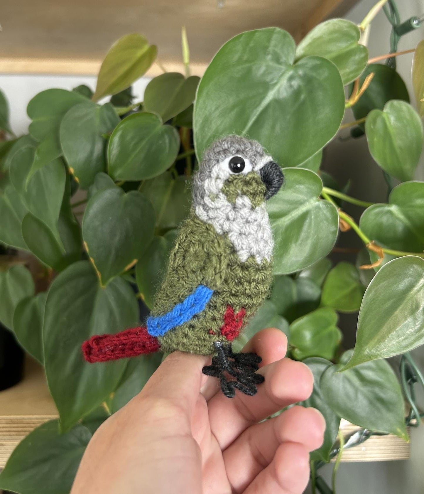 Green Cheek Conure Written Crochet Pattern | DIGITAL PDF