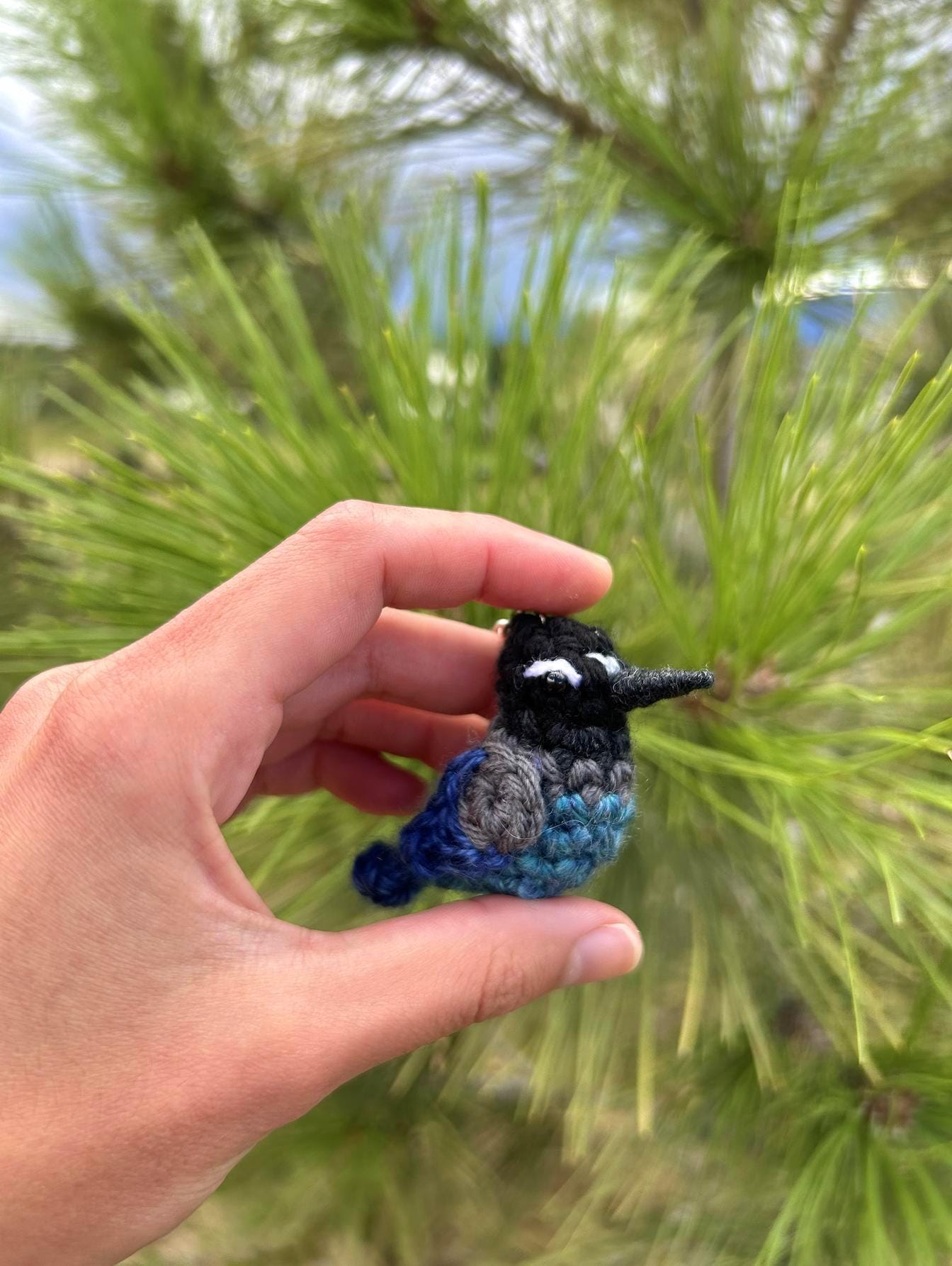 Tiny Birdies Steller's Jay Written Crochet Pattern | DIGITAL PDF