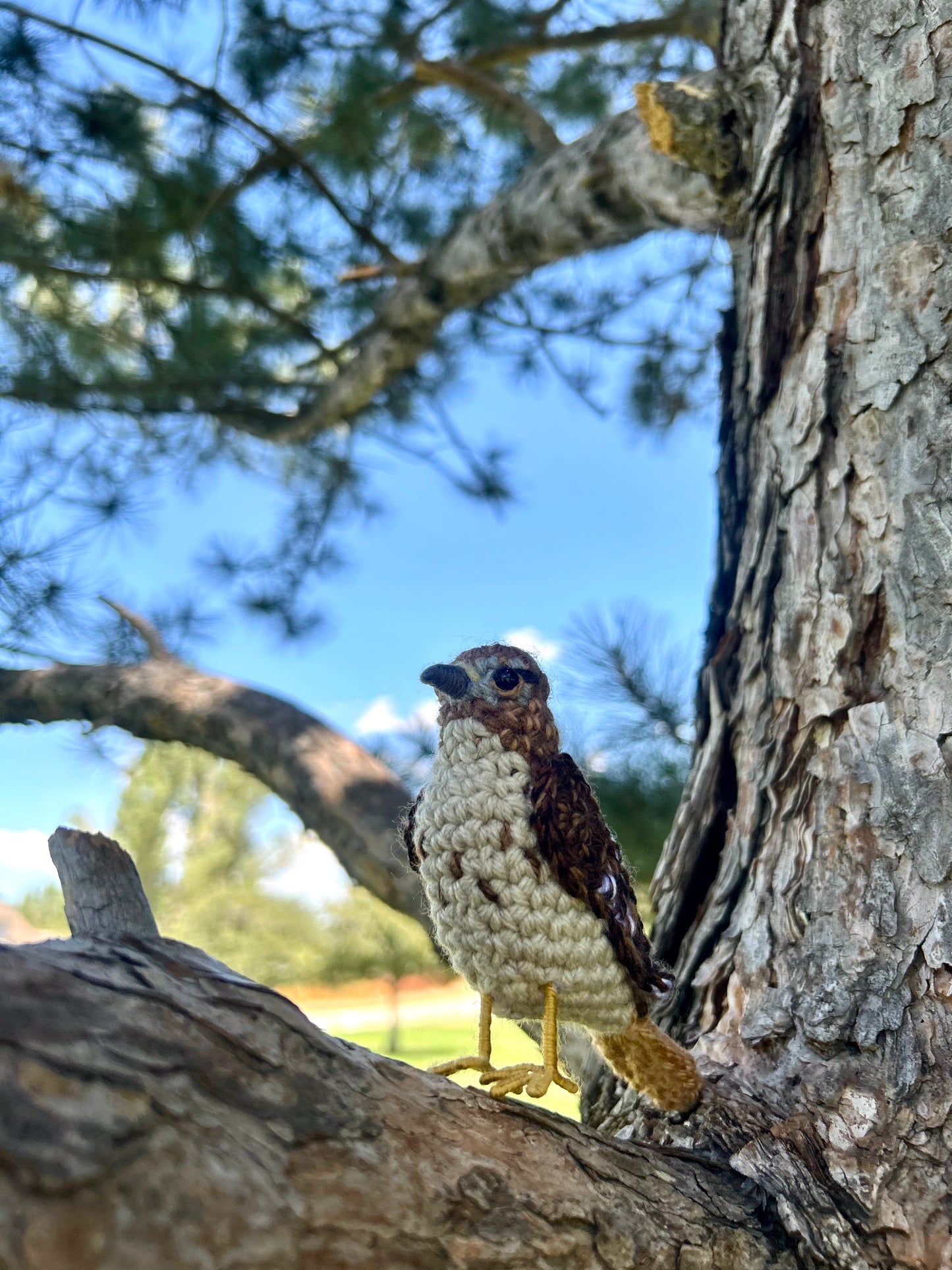 Red-tailed Hawk Plush