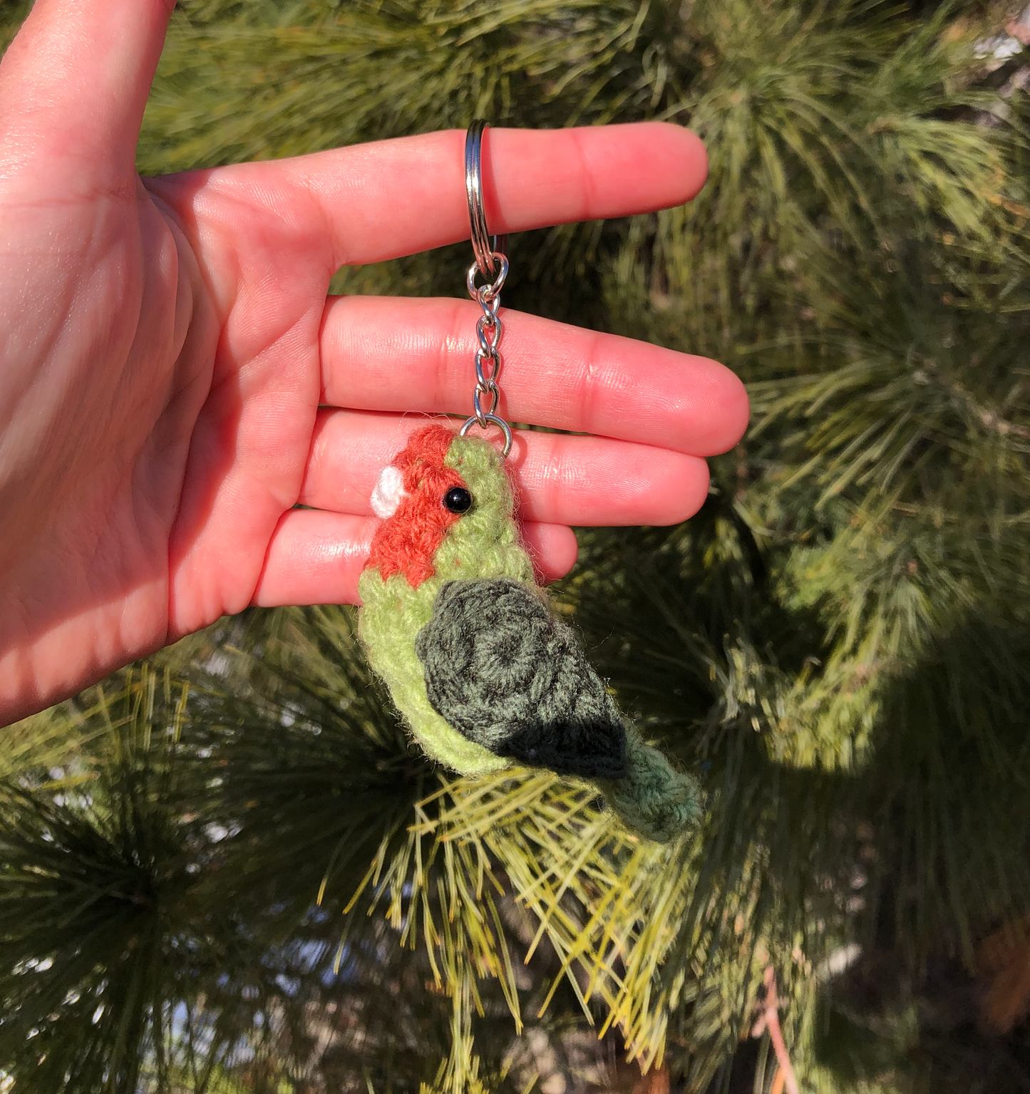 Tiny Birdies Parrot Pets Crochet Pattern Bundle | DIGITAL PDFs