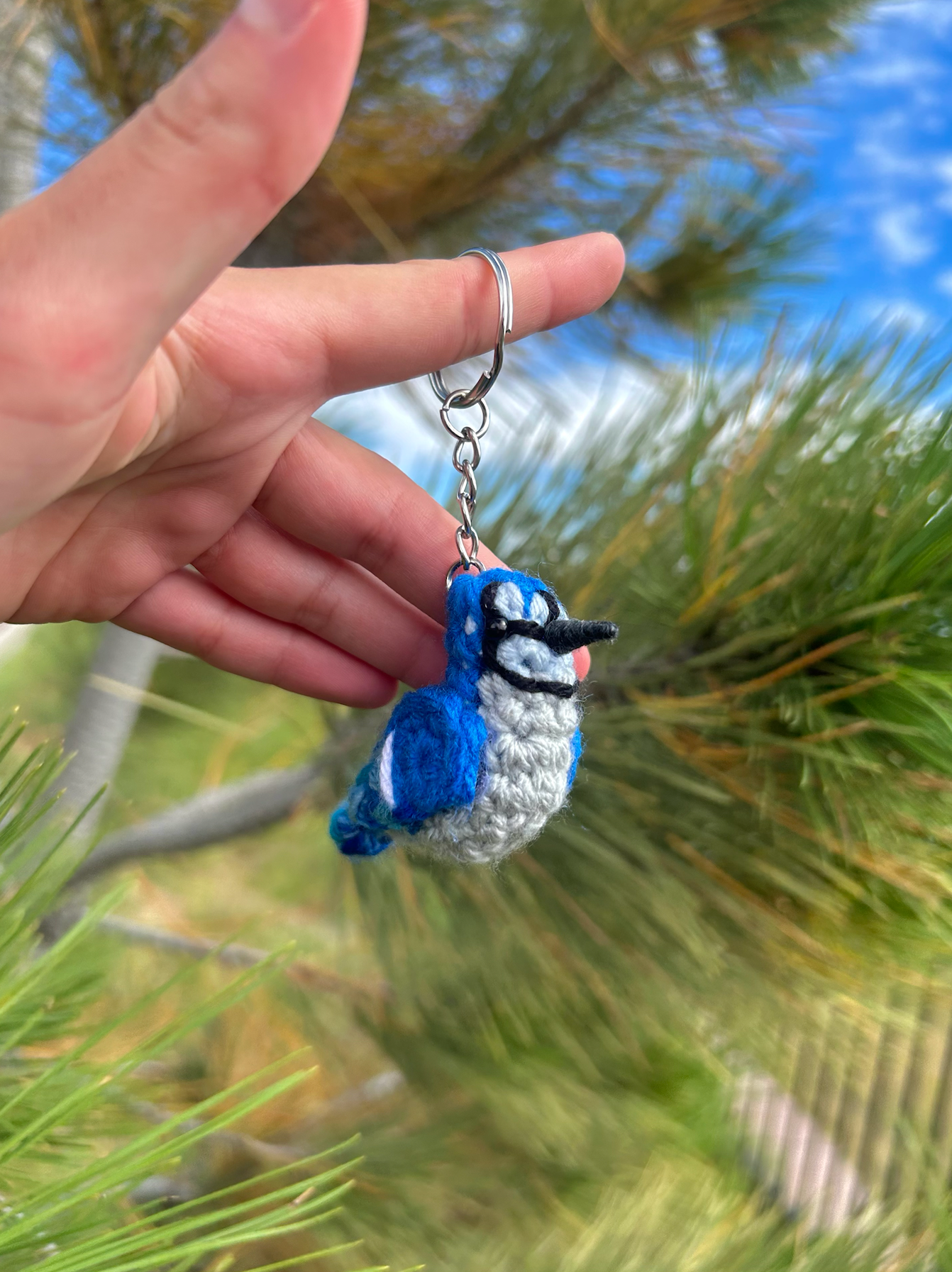 Tiny Birdies Cardinal & Blue Jay Crochet Pattern Bundle | DIGITAL PDFs