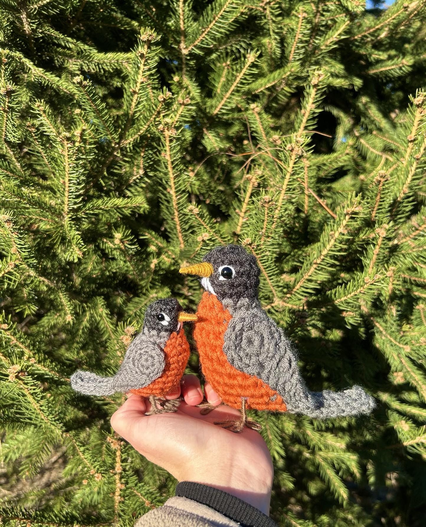 American Robin Plush