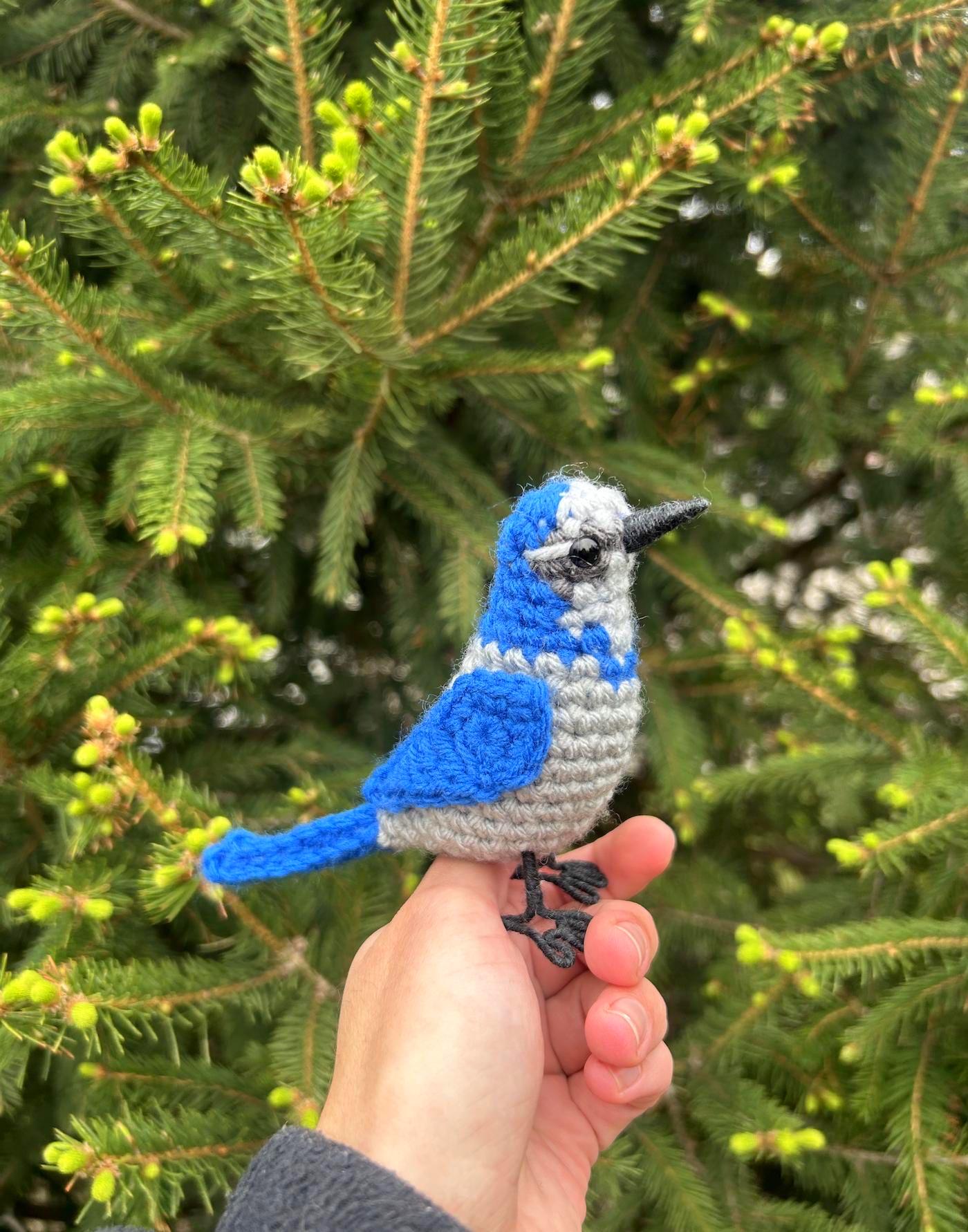 Scrub Jay Written Crochet Pattern | DIGITAL PDF