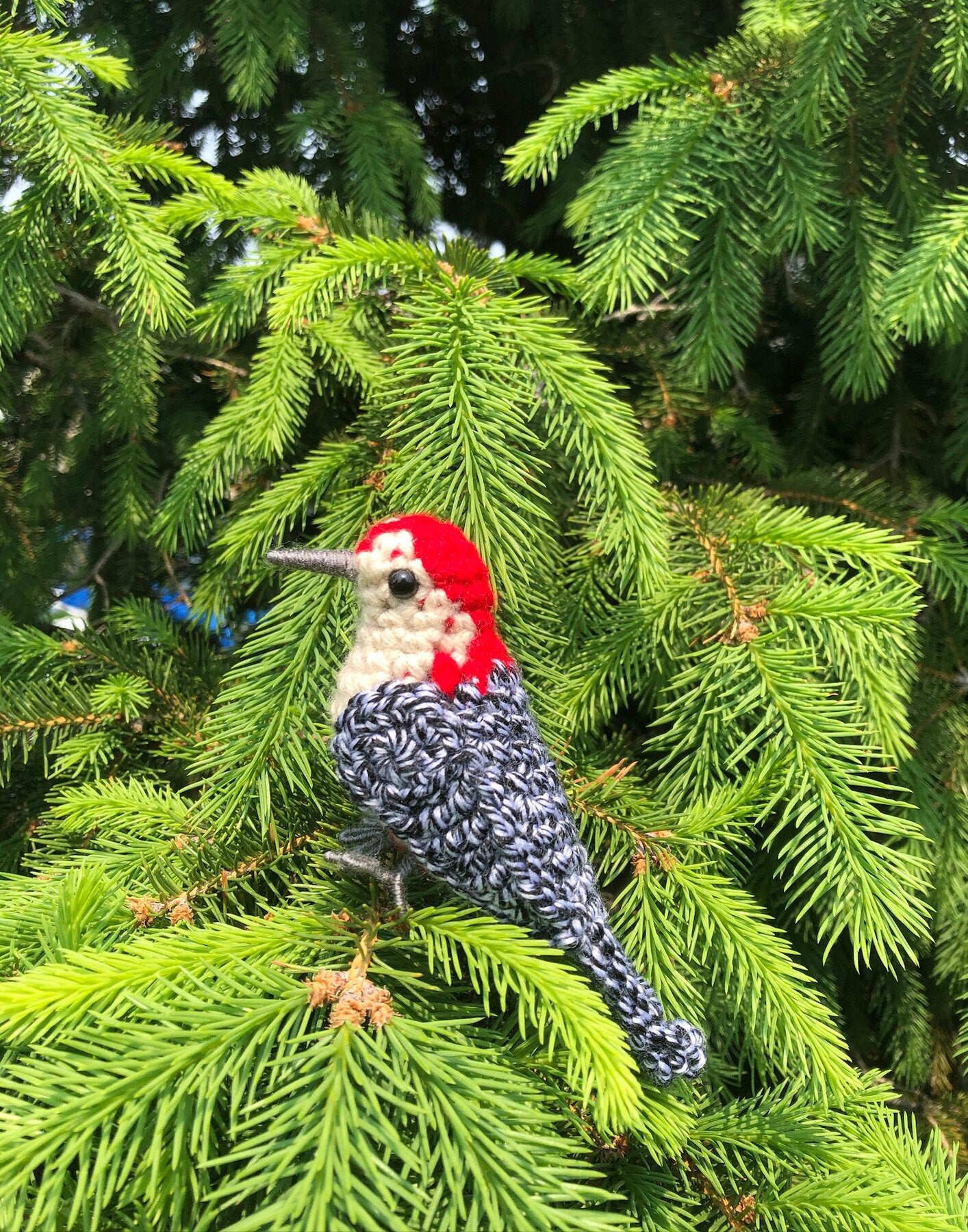 Red-bellied Woodpecker Written Crochet Pattern | DIGITAL PDF