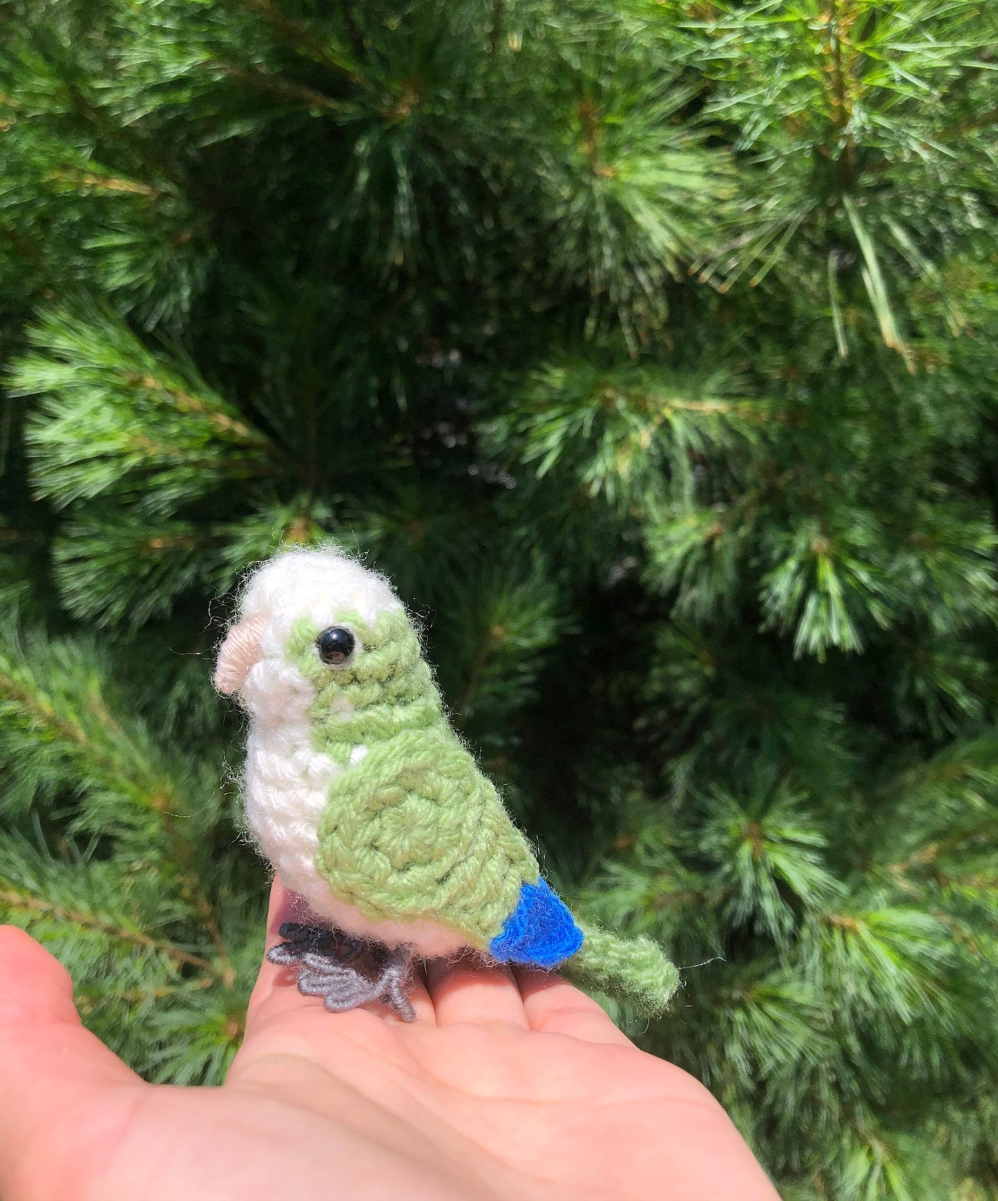 Quaker Parrot Written Crochet Pattern | DIGITAL PDF
