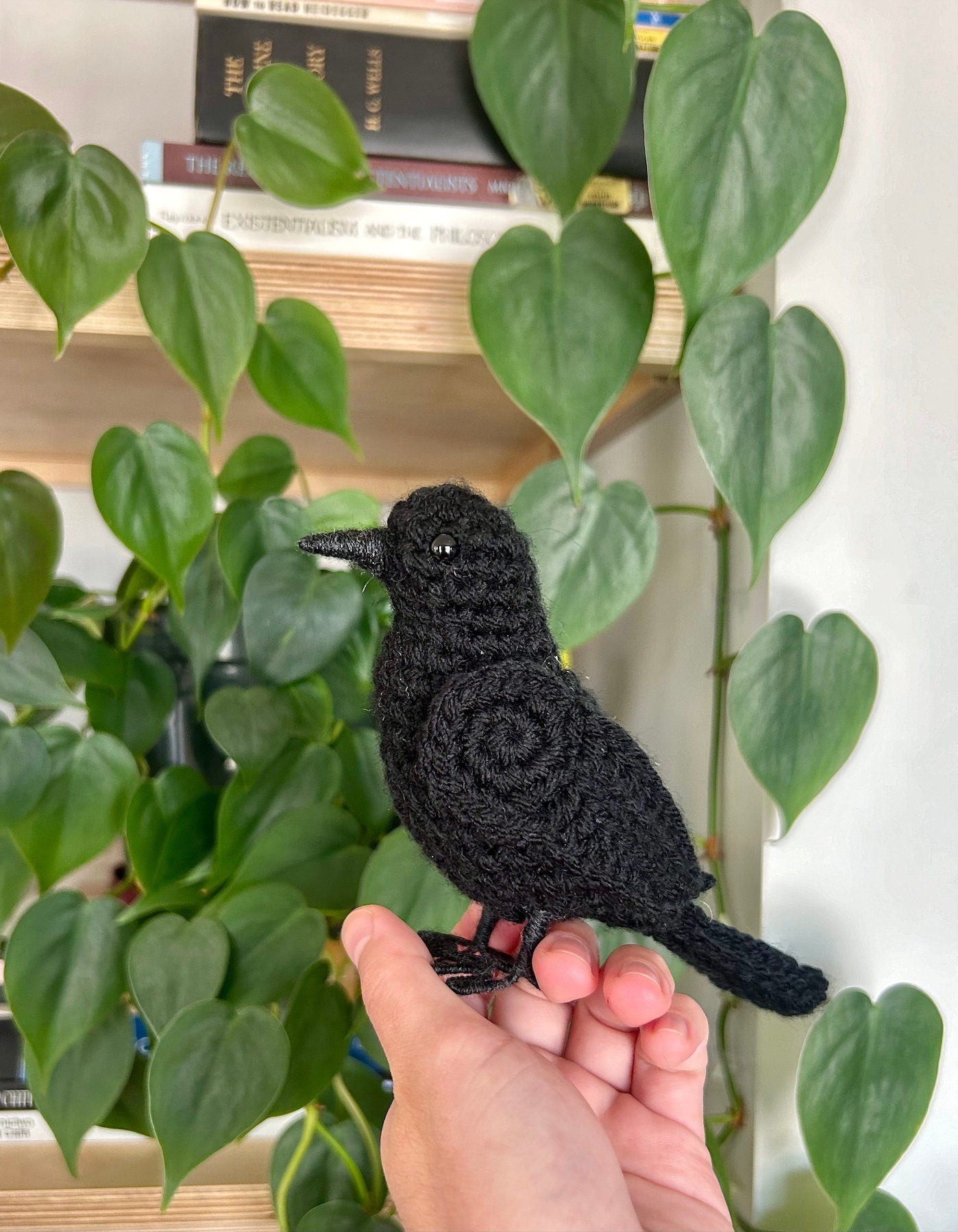Beautiful Raven Written Crochet Pattern | DIGITAL PDF
