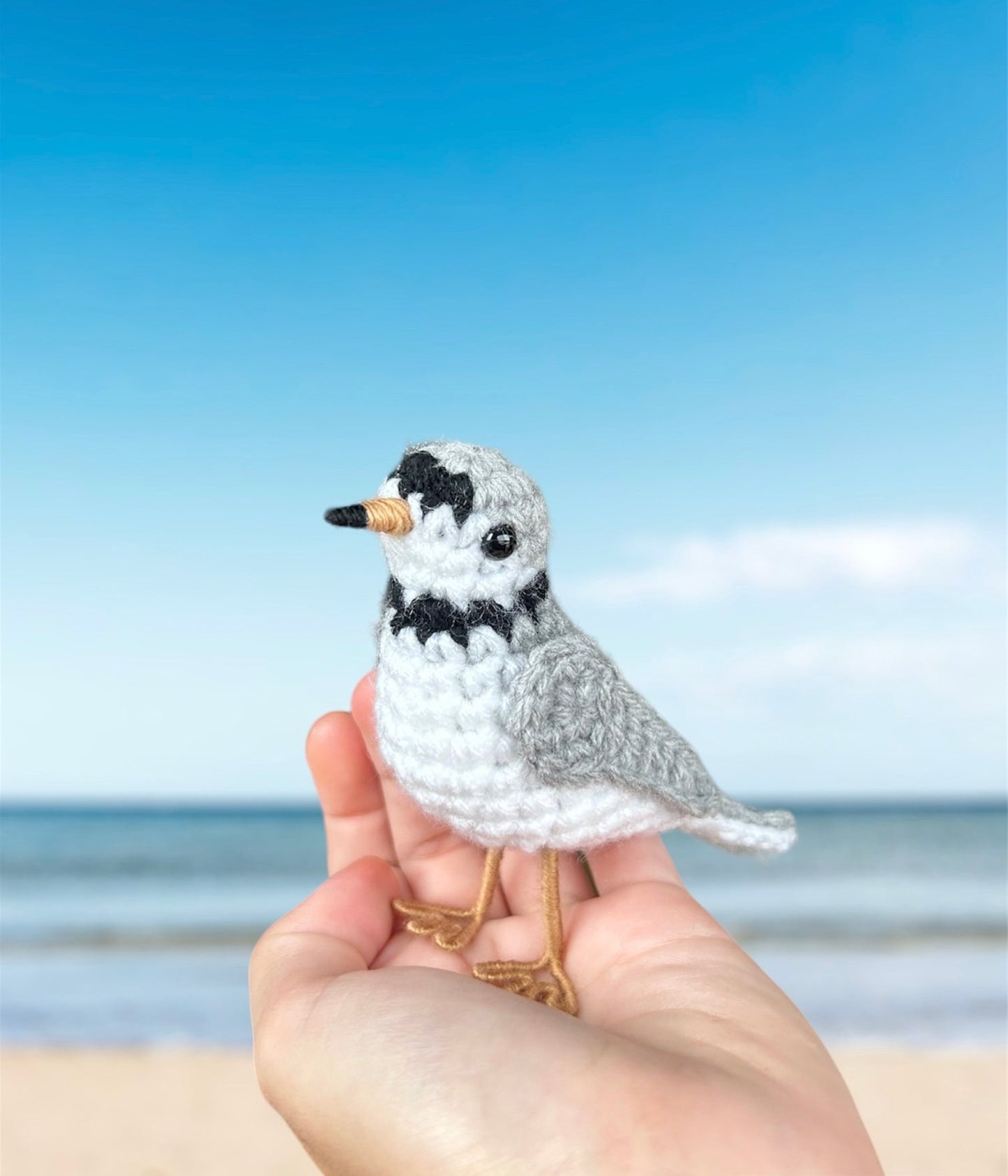 Piping Plover Written Crochet Pattern | DIGITAL PDF