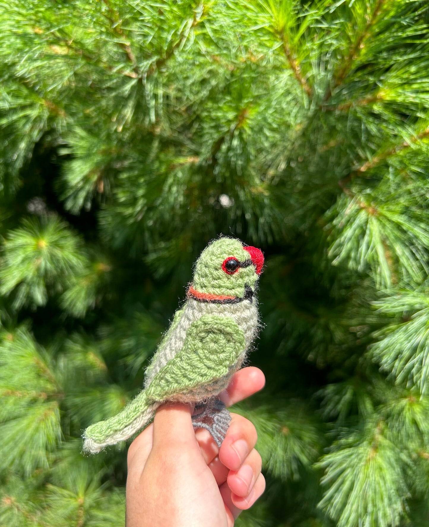 Rose Ringed Parakeet Written Crochet Pattern | DIGITAL PDF