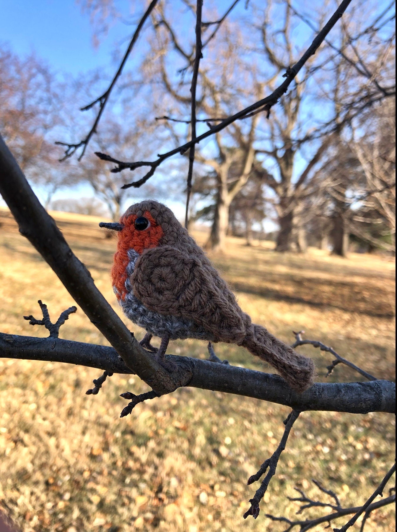 European Robin Written Crochet Pattern | DIGITAL PDF