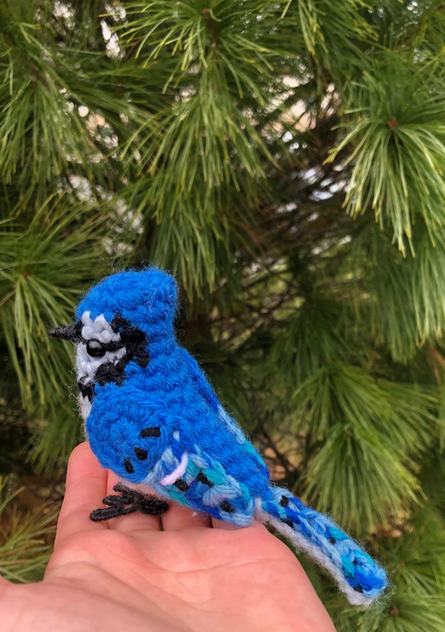 Beautiful Blue Jay Written Crochet Pattern | DIGITAL PDF