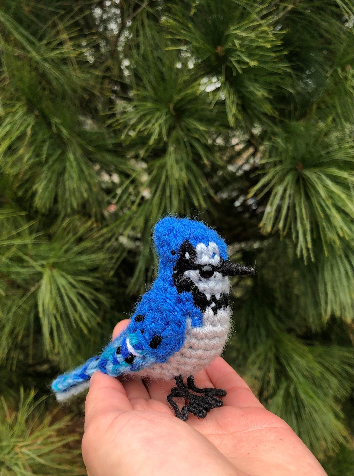 Beautiful Blue Jay Written Crochet Pattern | DIGITAL PDF