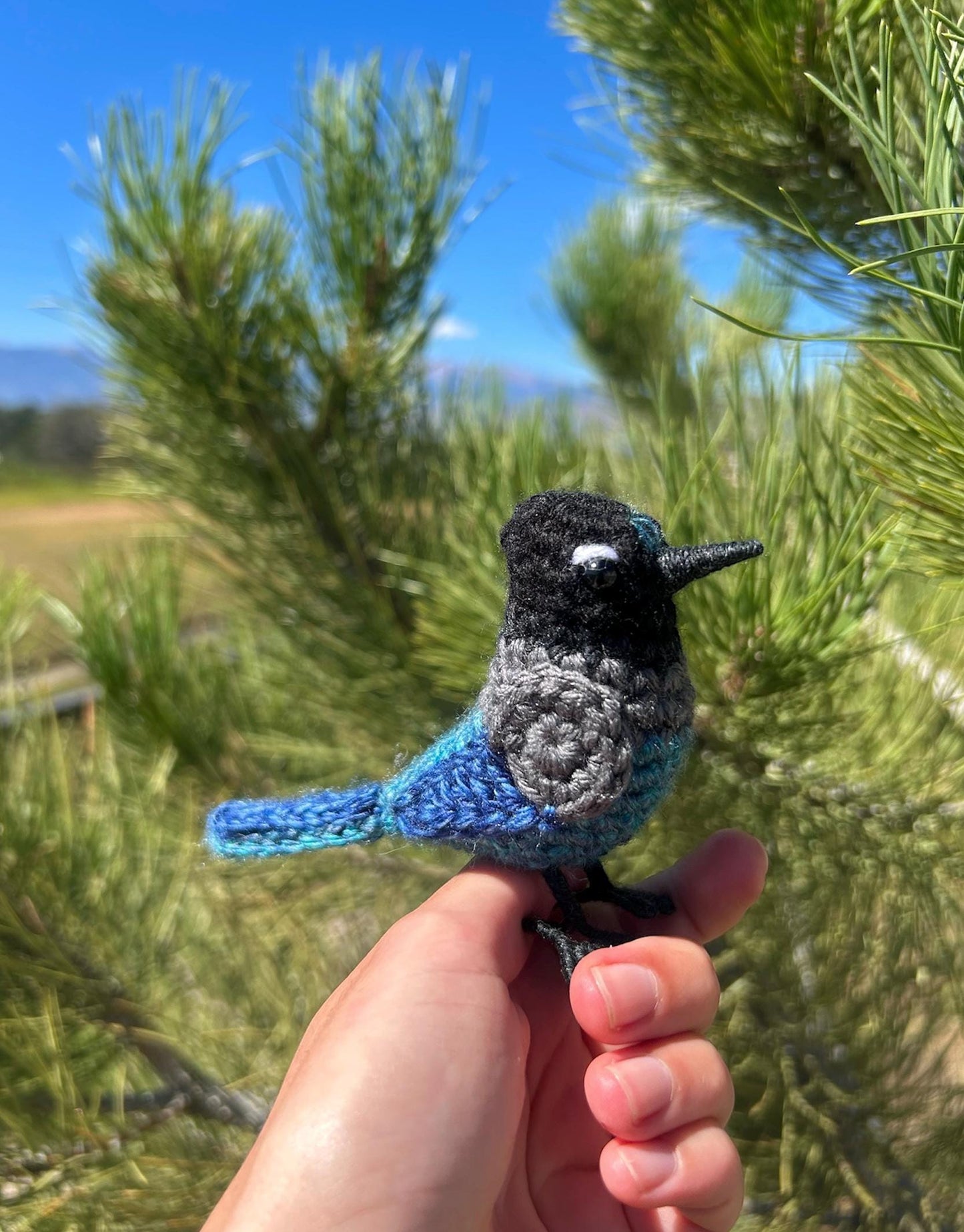 Steller's Jay Written Crochet Pattern | DIGITAL PDF