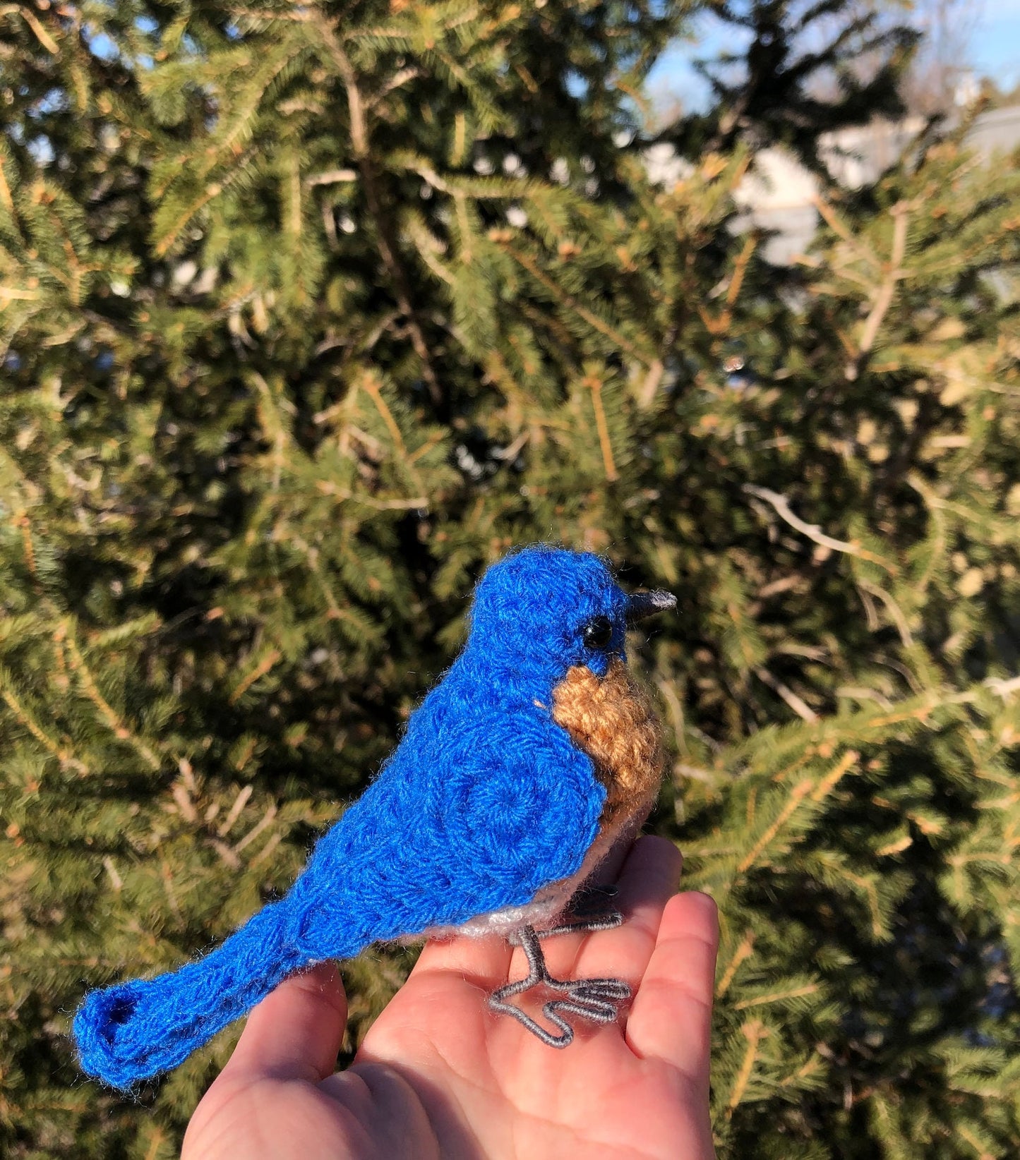 Eastern Bluebird Plush