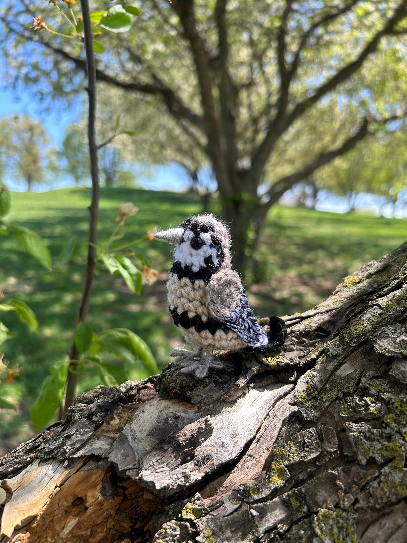Owl Finch Plush