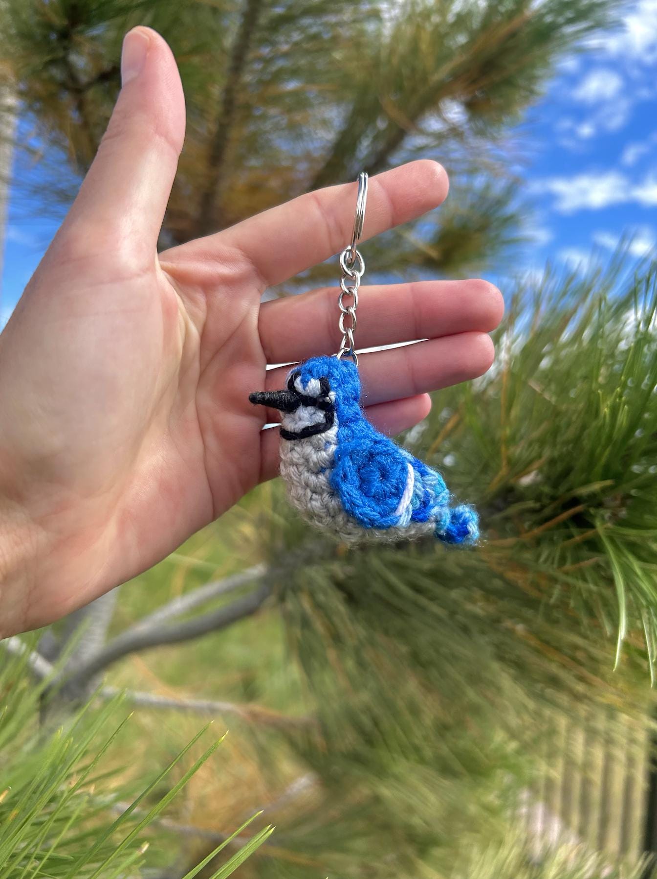 Tiny Birdies Blue Jay Written Crochet Pattern | DIGITAL PDF