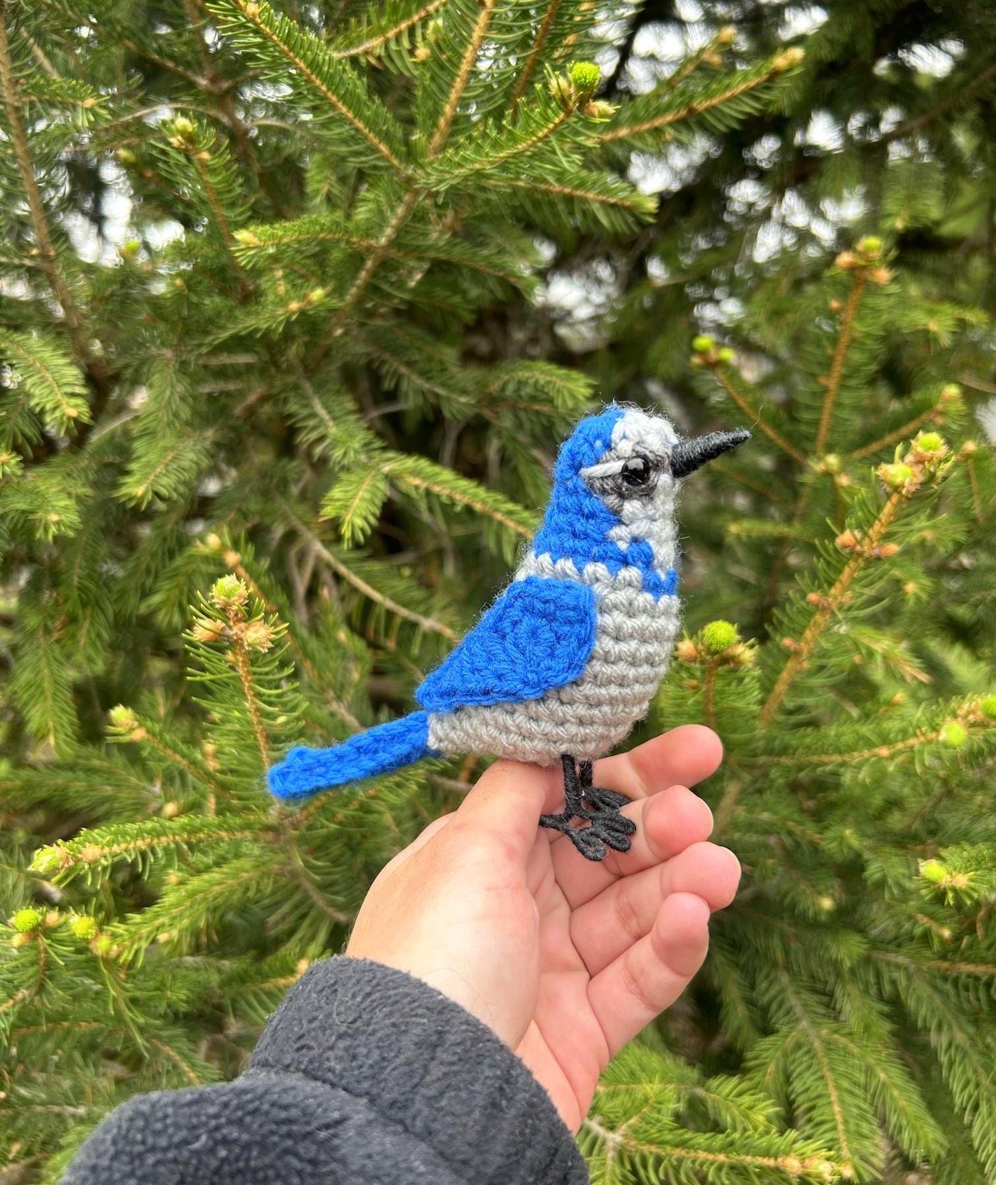 Scrub Jay Written Crochet Pattern | DIGITAL PDF
