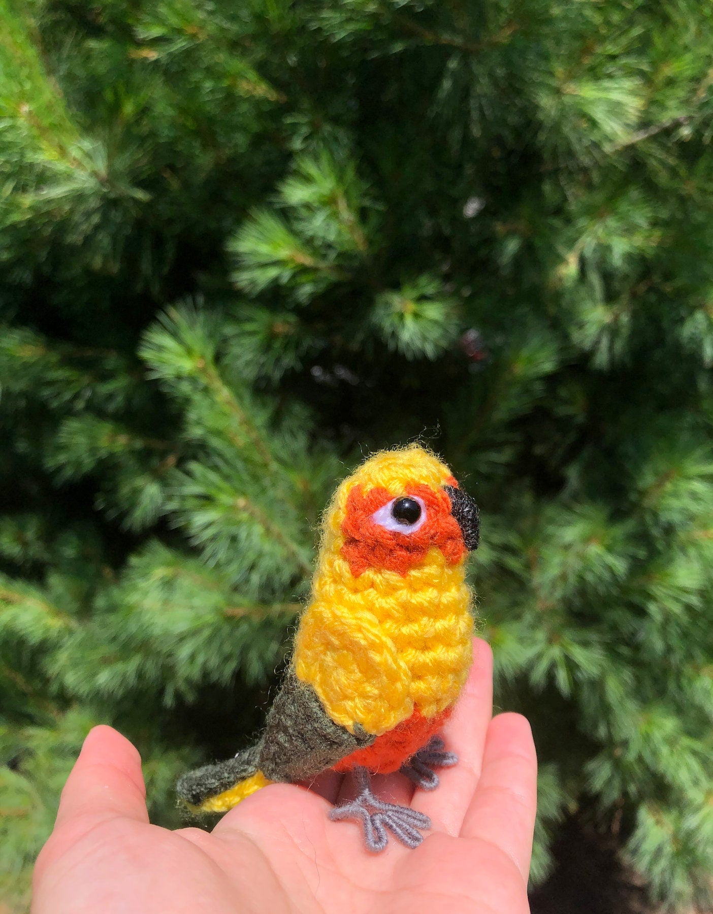 Sun Conure Written Crochet Pattern | DIGITAL PDF