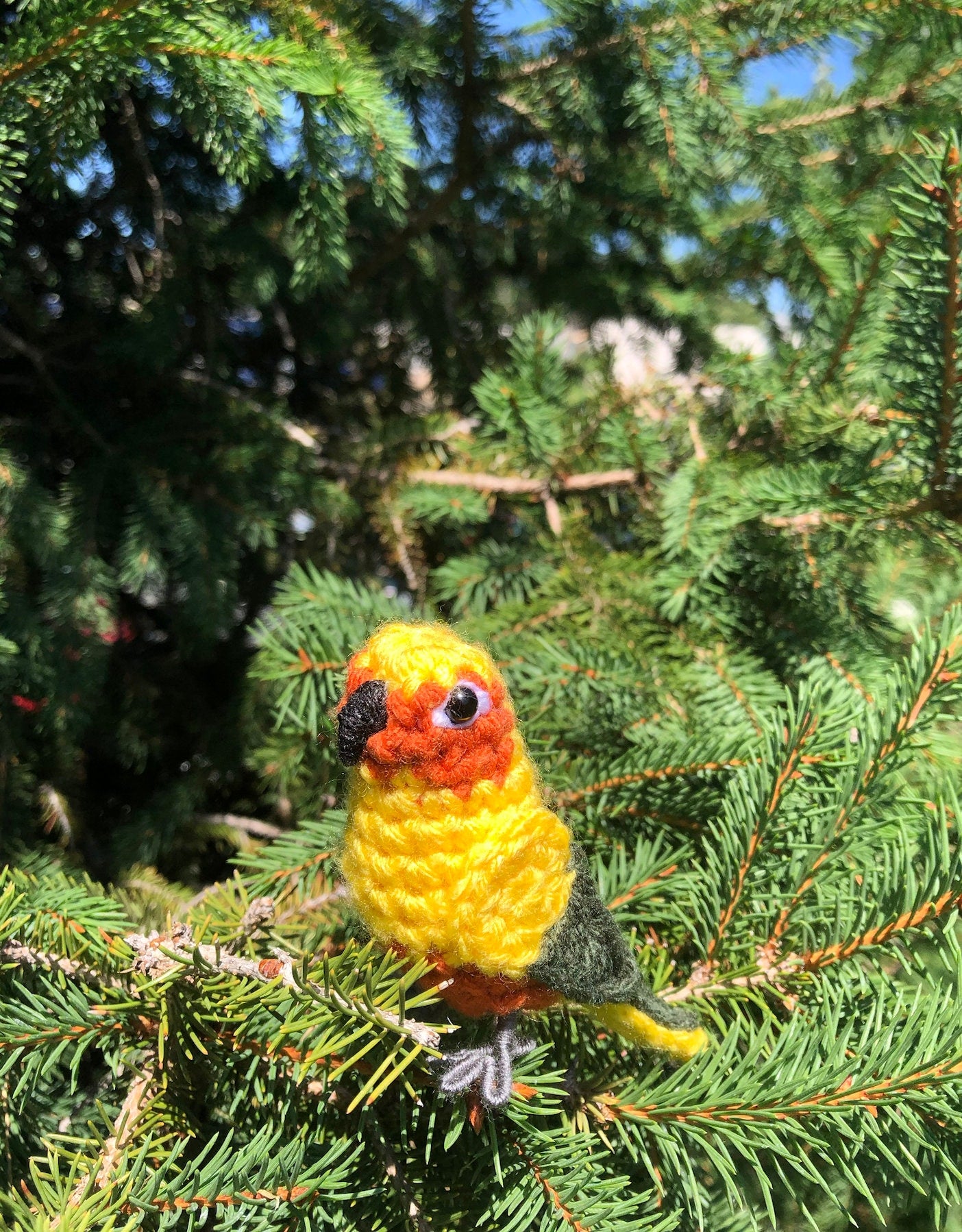 Sun Conure Written Crochet Pattern | DIGITAL PDF