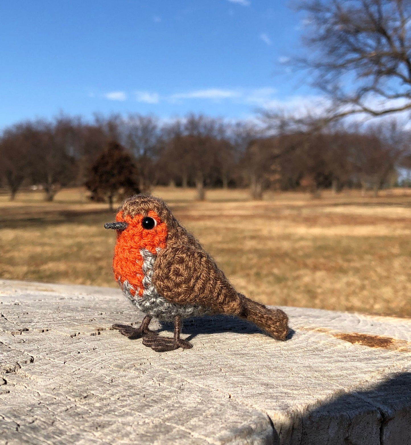 European Robin Written Crochet Pattern | DIGITAL PDF
