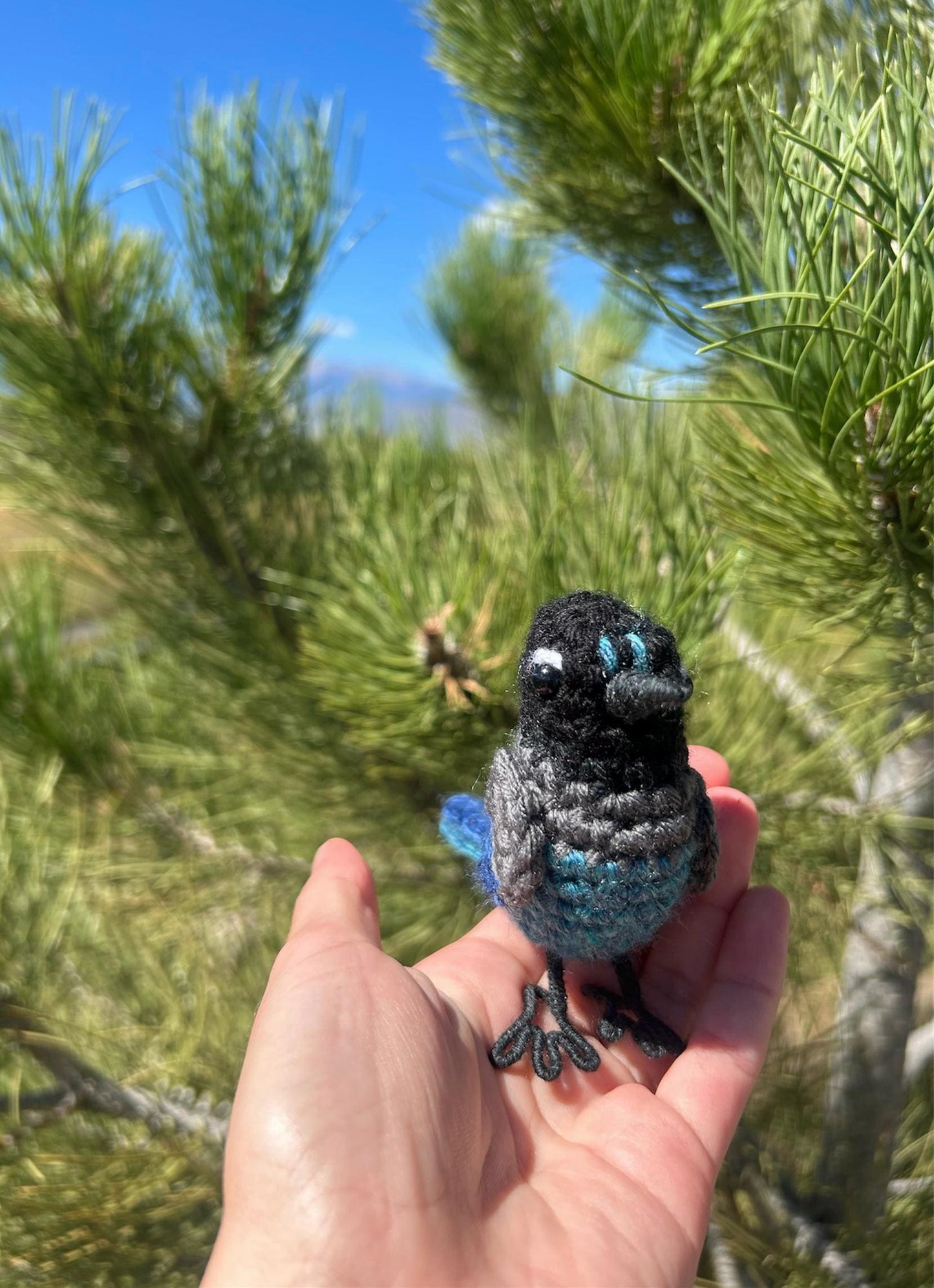 Steller's Jay Written Crochet Pattern | DIGITAL PDF