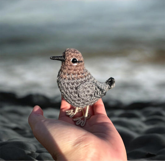 Small bird held in a hand with a blurred natural background