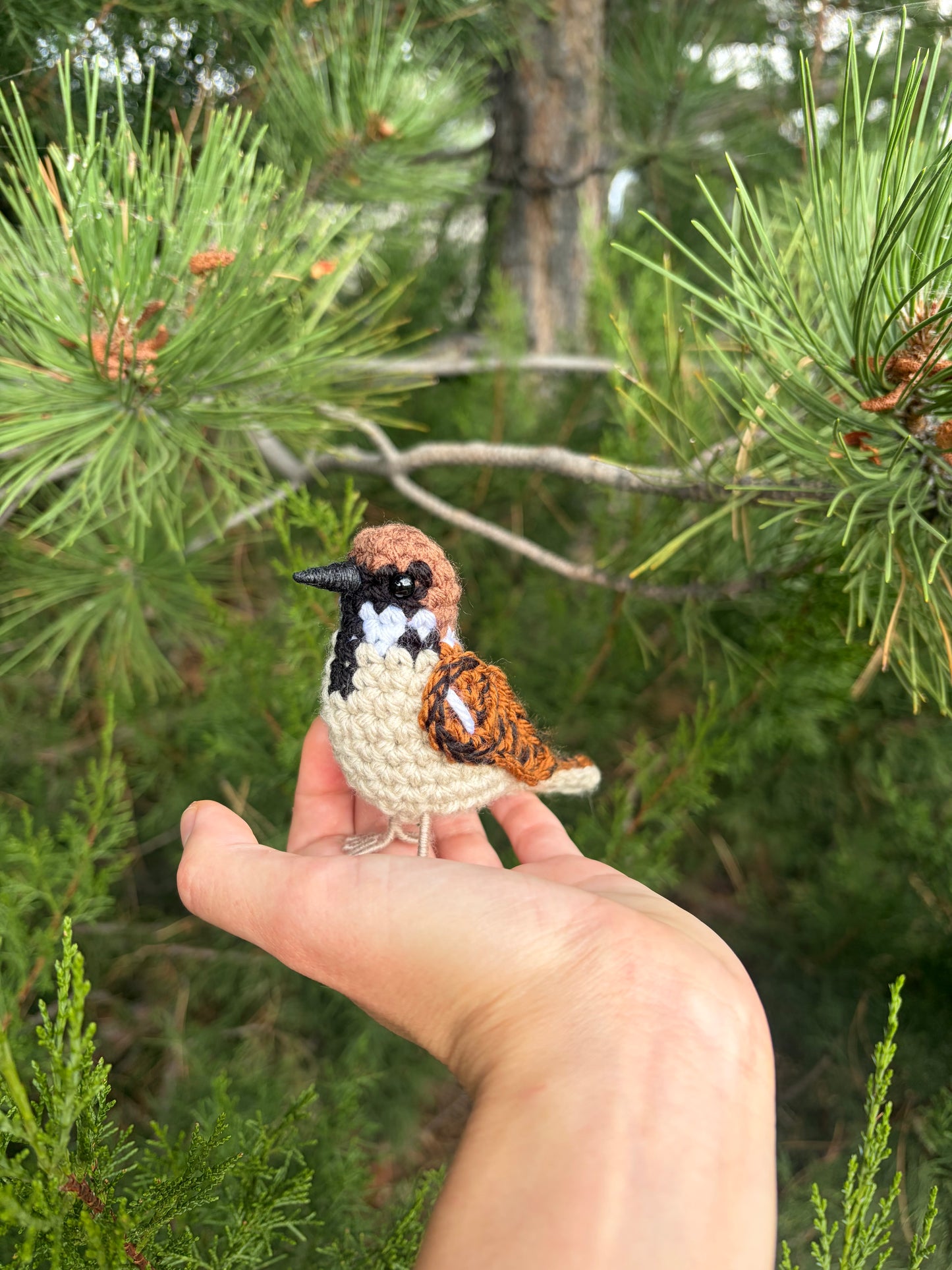Eurasian Tree Sparrow Written Crochet Pattern | DIGITAL PDF