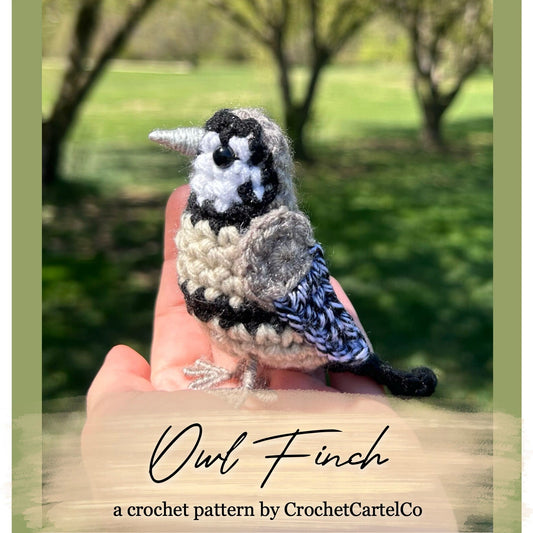 Crocheted owl finch crochet pattern, shown held in a hand with a blurred natural background