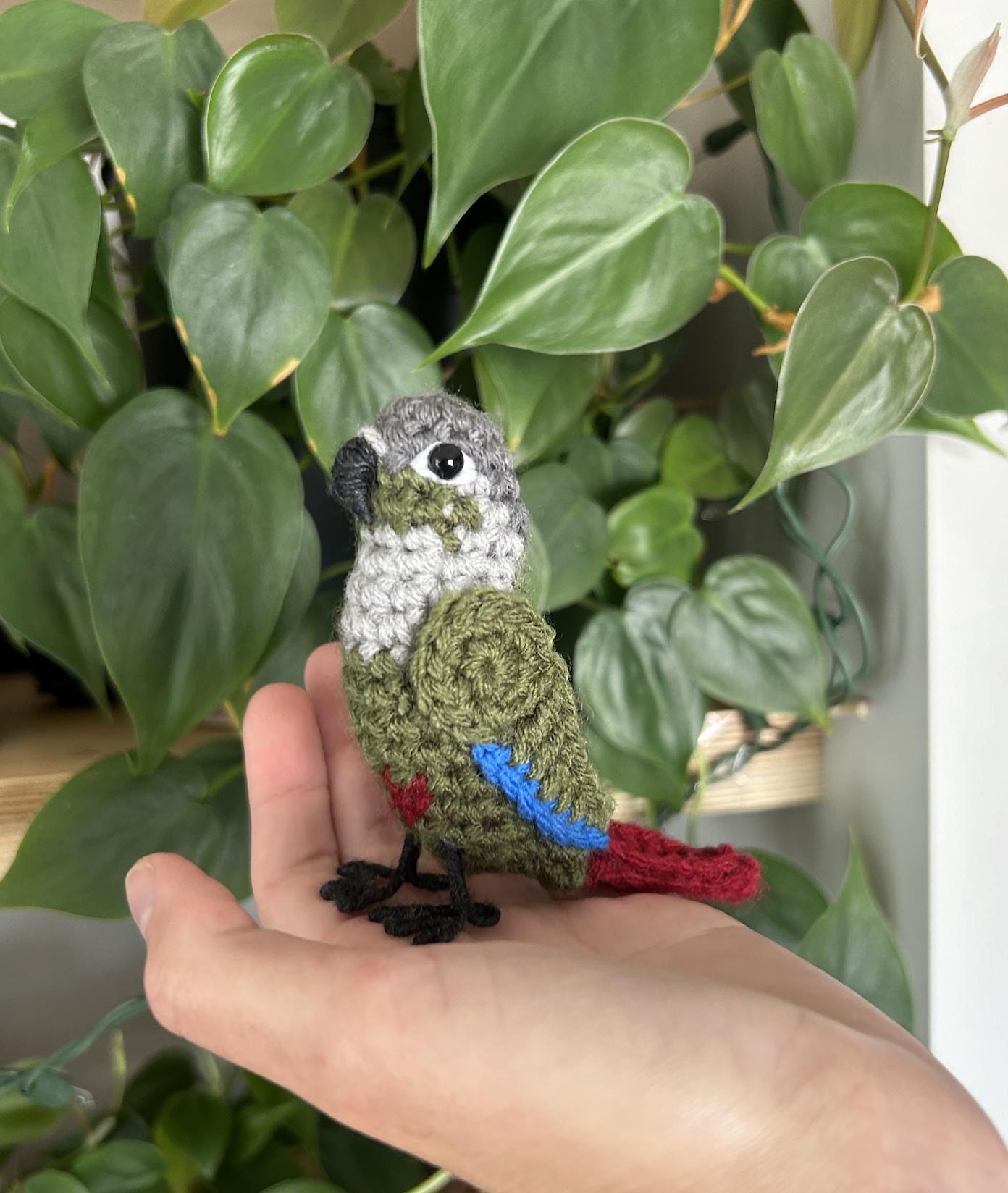 Green Cheek Conure Written Crochet Pattern | DIGITAL PDF