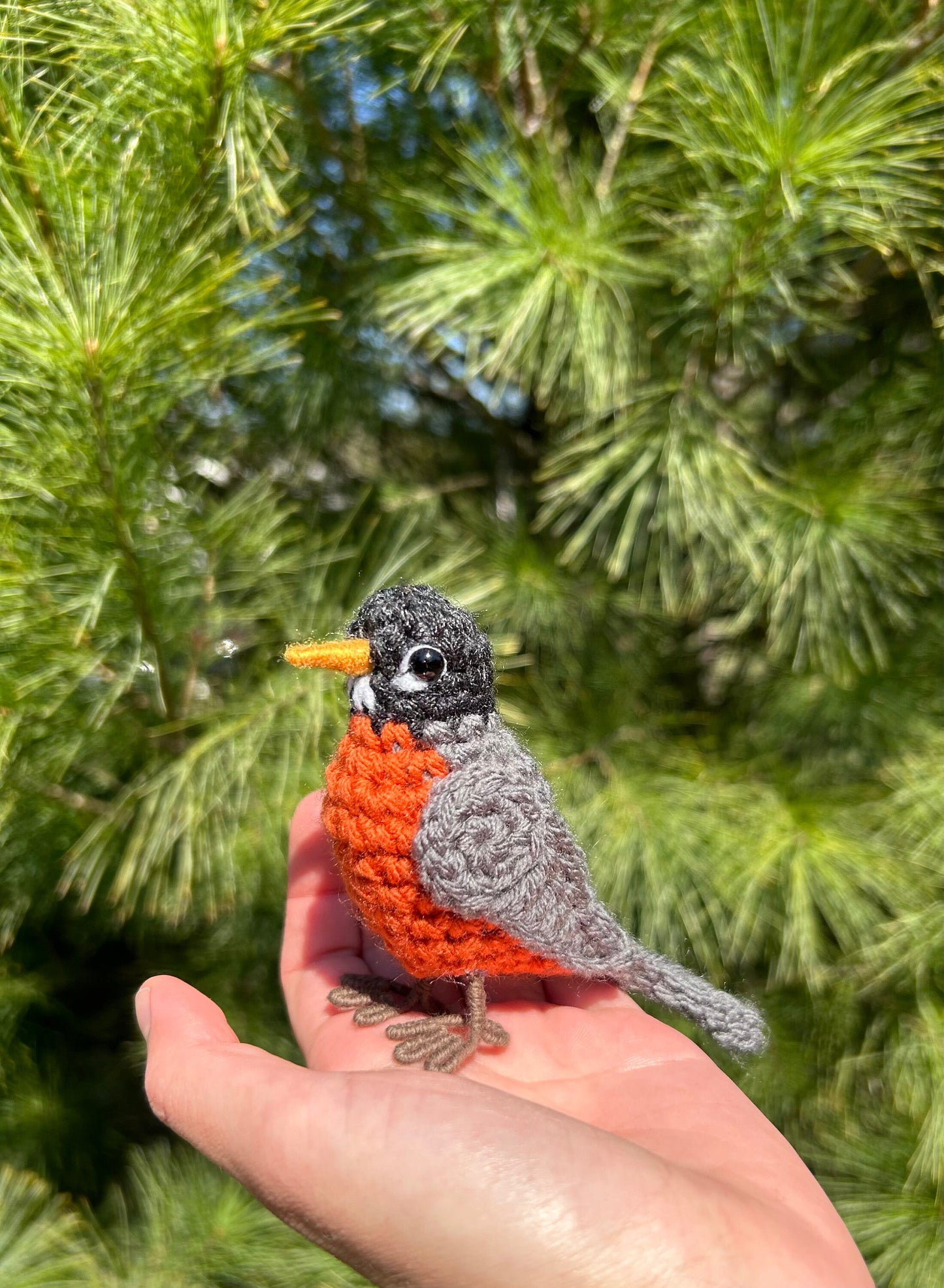 American Robin Written Crochet Pattern | DIGITAL PDF