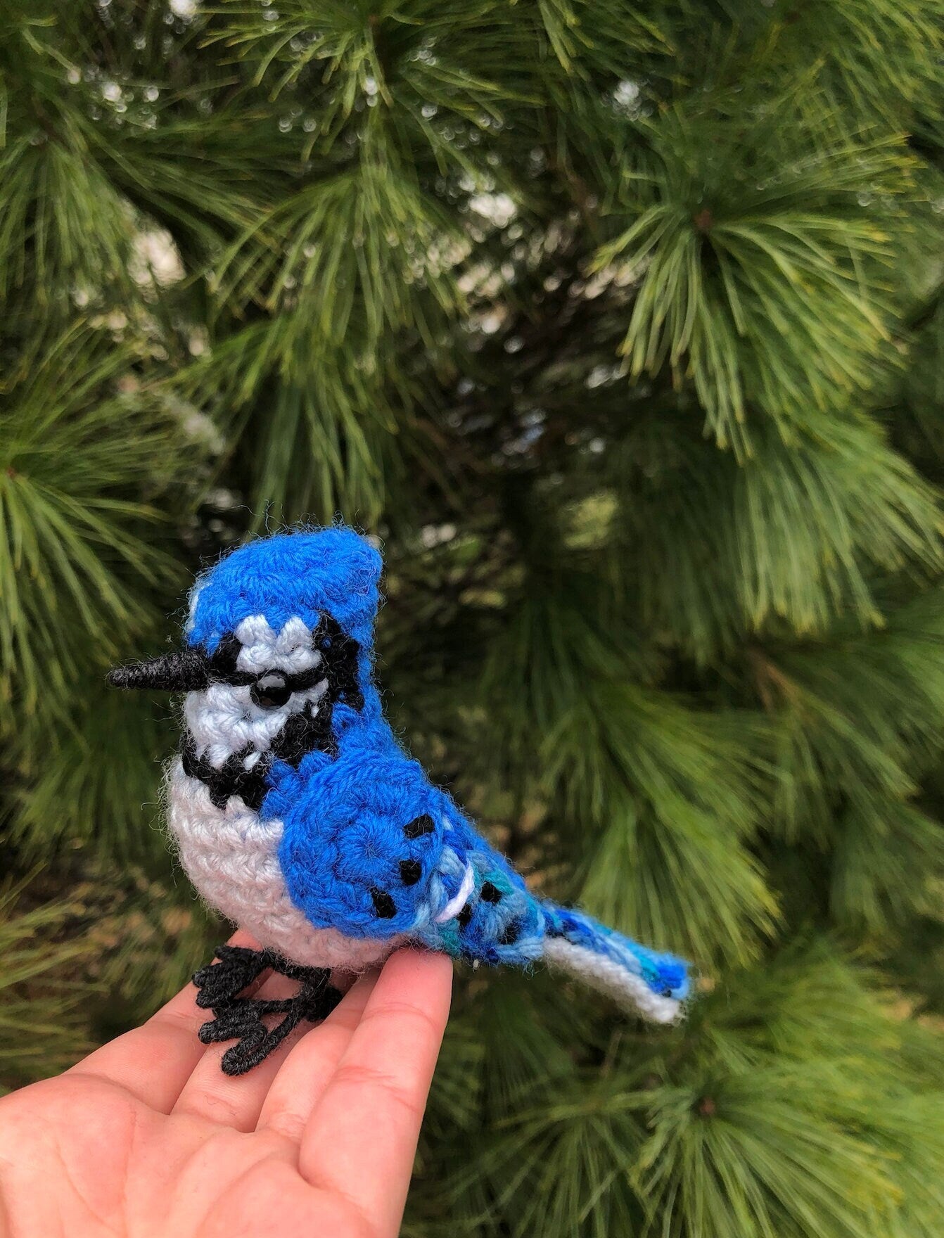 Beautiful Blue Jay Written Crochet Pattern | DIGITAL PDF