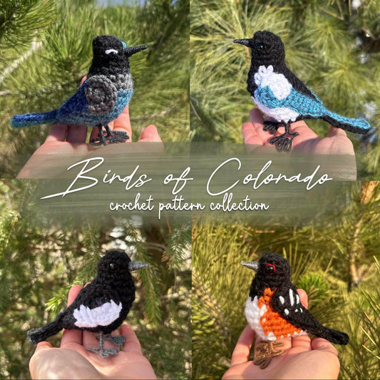 Collage of crocheted birds held in a hand with 'Birds of Colorado crochet pattern collection' text.