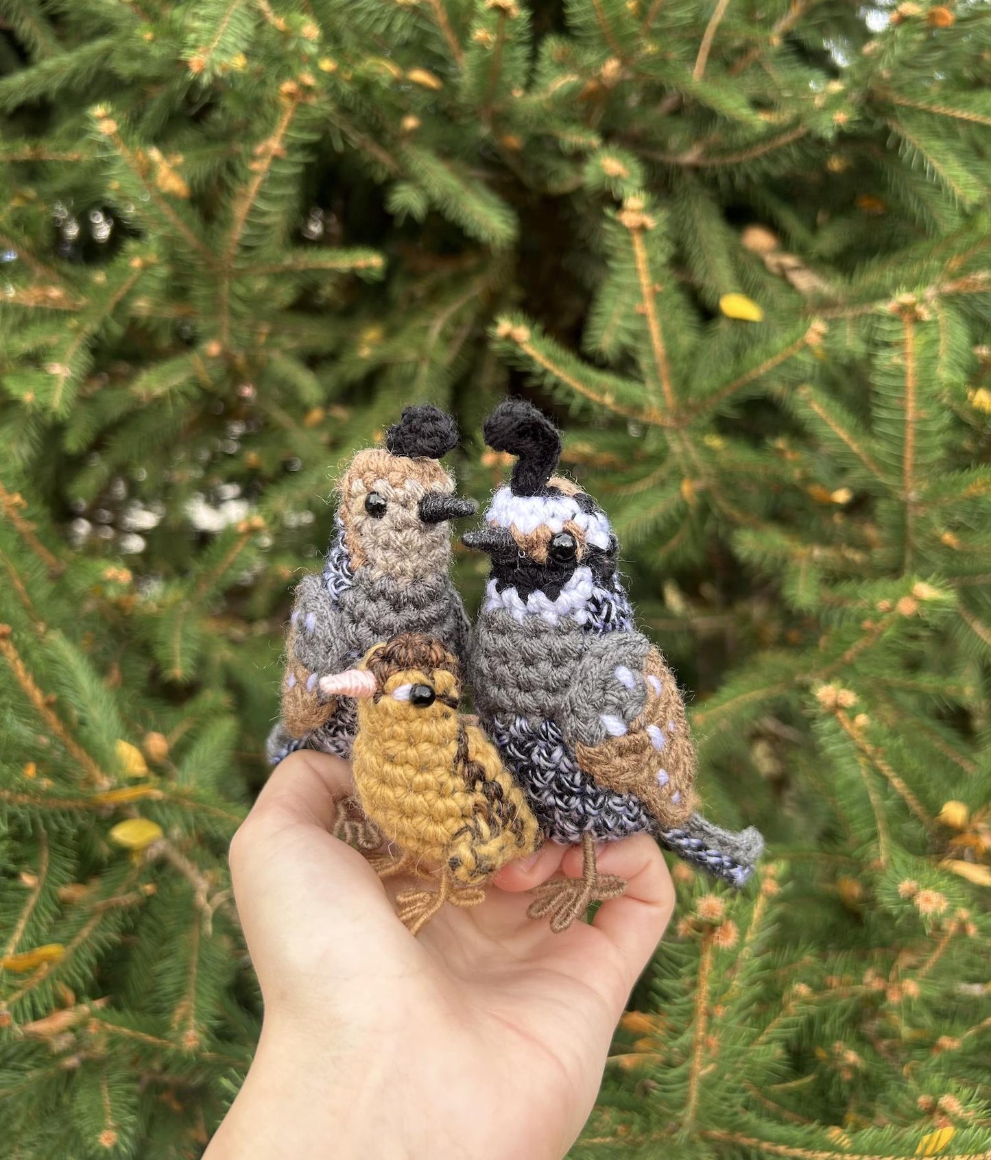 Quail Family Crochet Pattern Bundle | DIGITAL PDFs