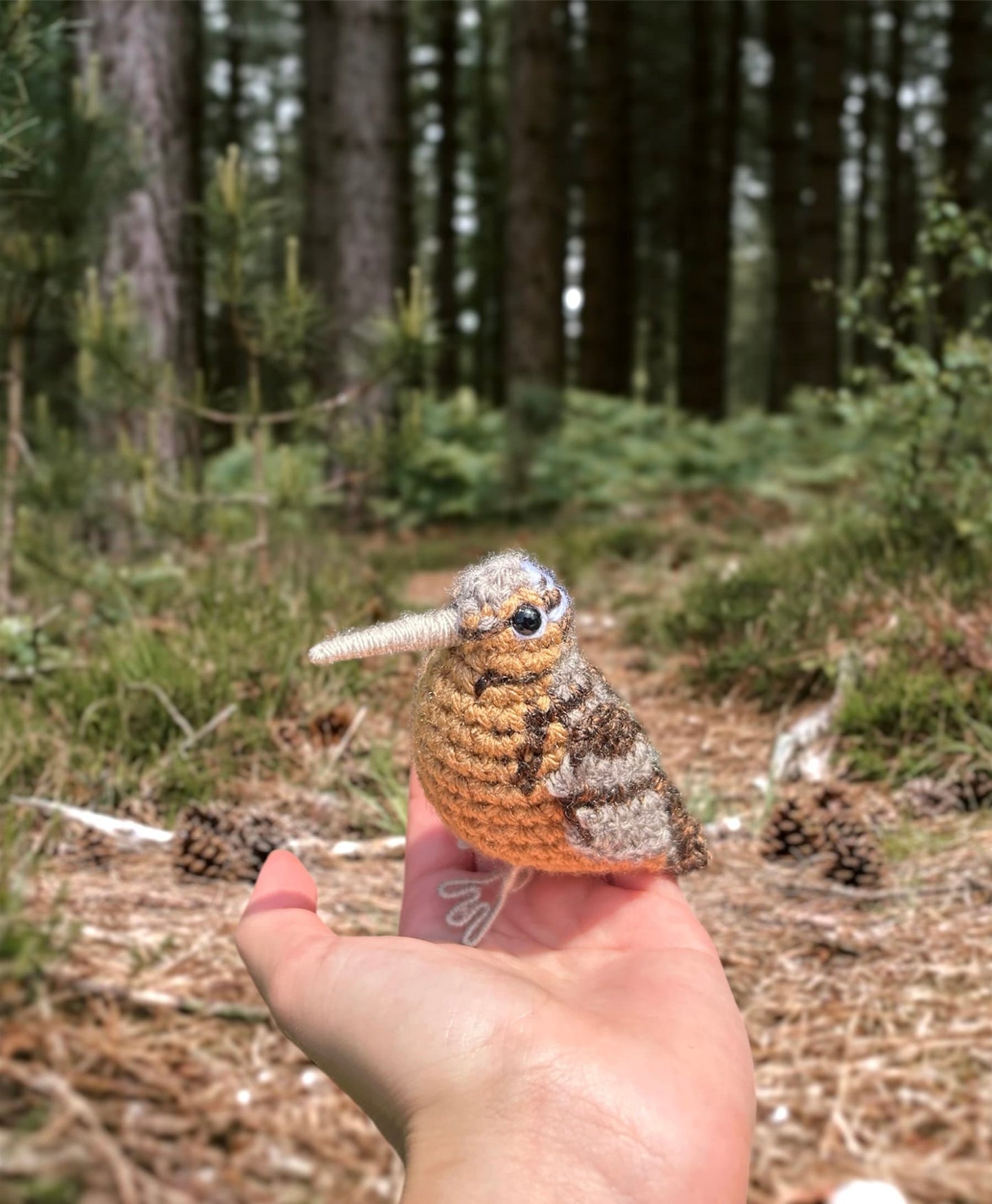 American Woodcock Written Crochet Pattern | DIGITAL PDF