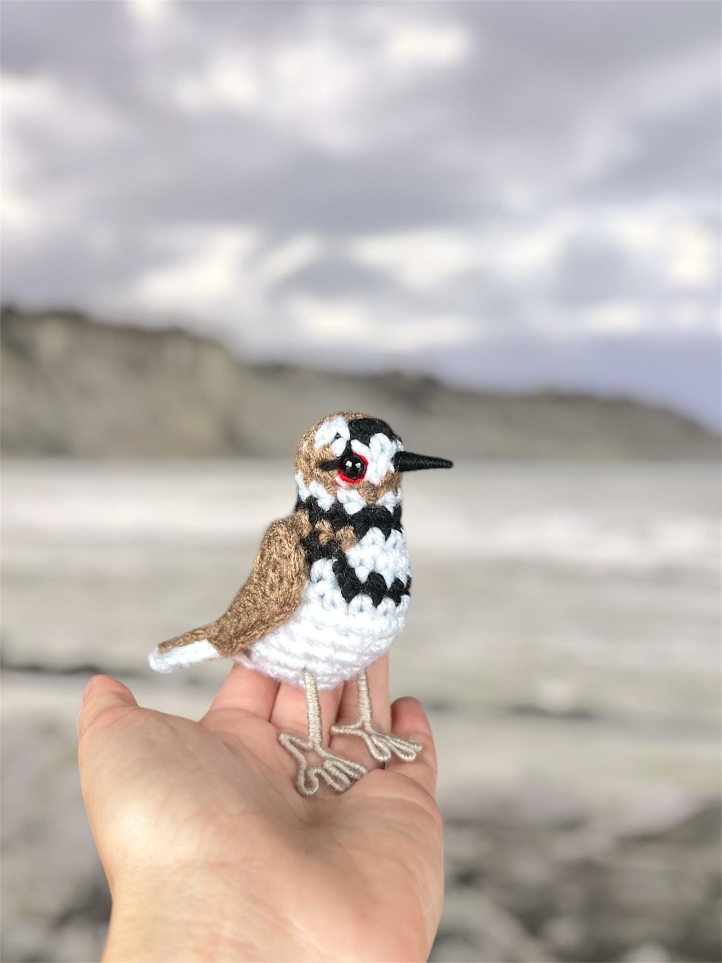 Little Killdeer Written Crochet Pattern | DIGITAL PDF