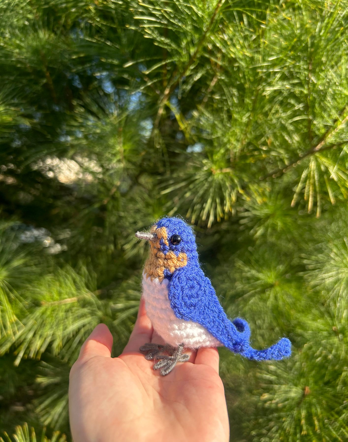Barn Swallow Written Crochet Pattern | DIGITAL PDF