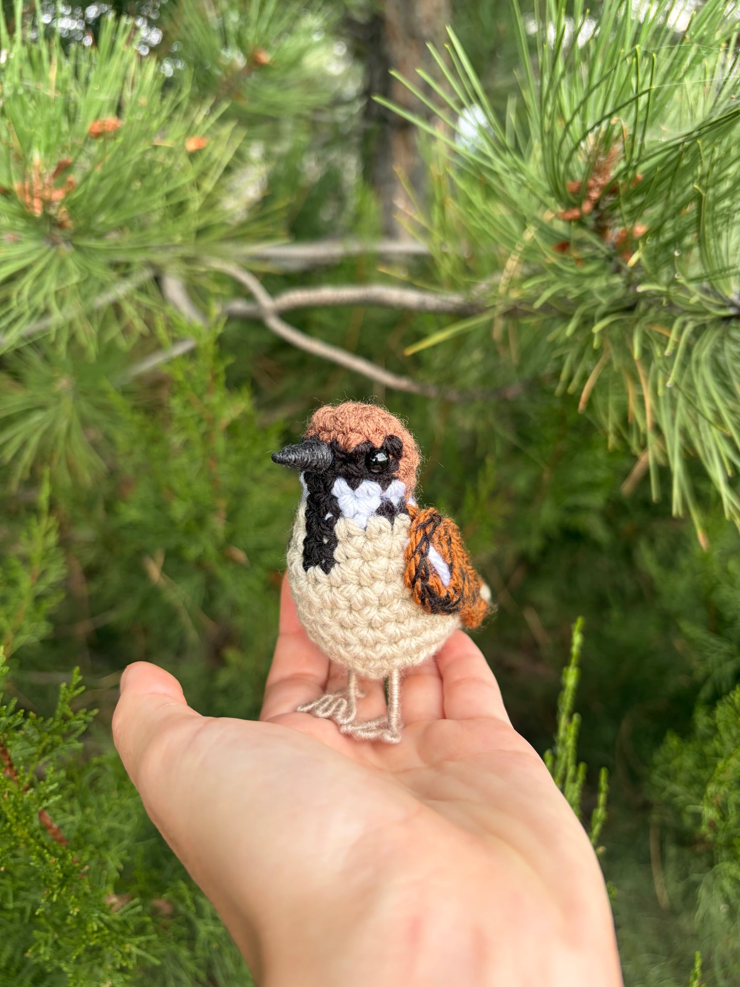 Eurasian Tree Sparrow Written Crochet Pattern | DIGITAL PDF