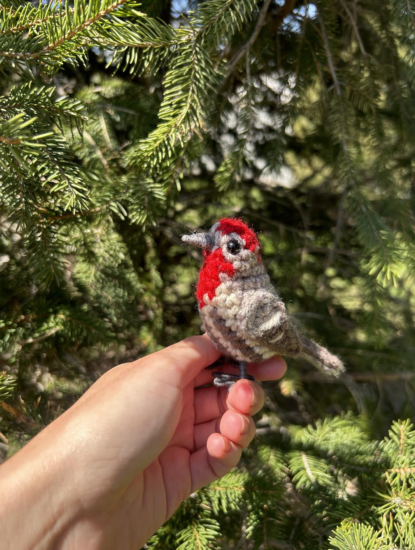 House Finch Plush