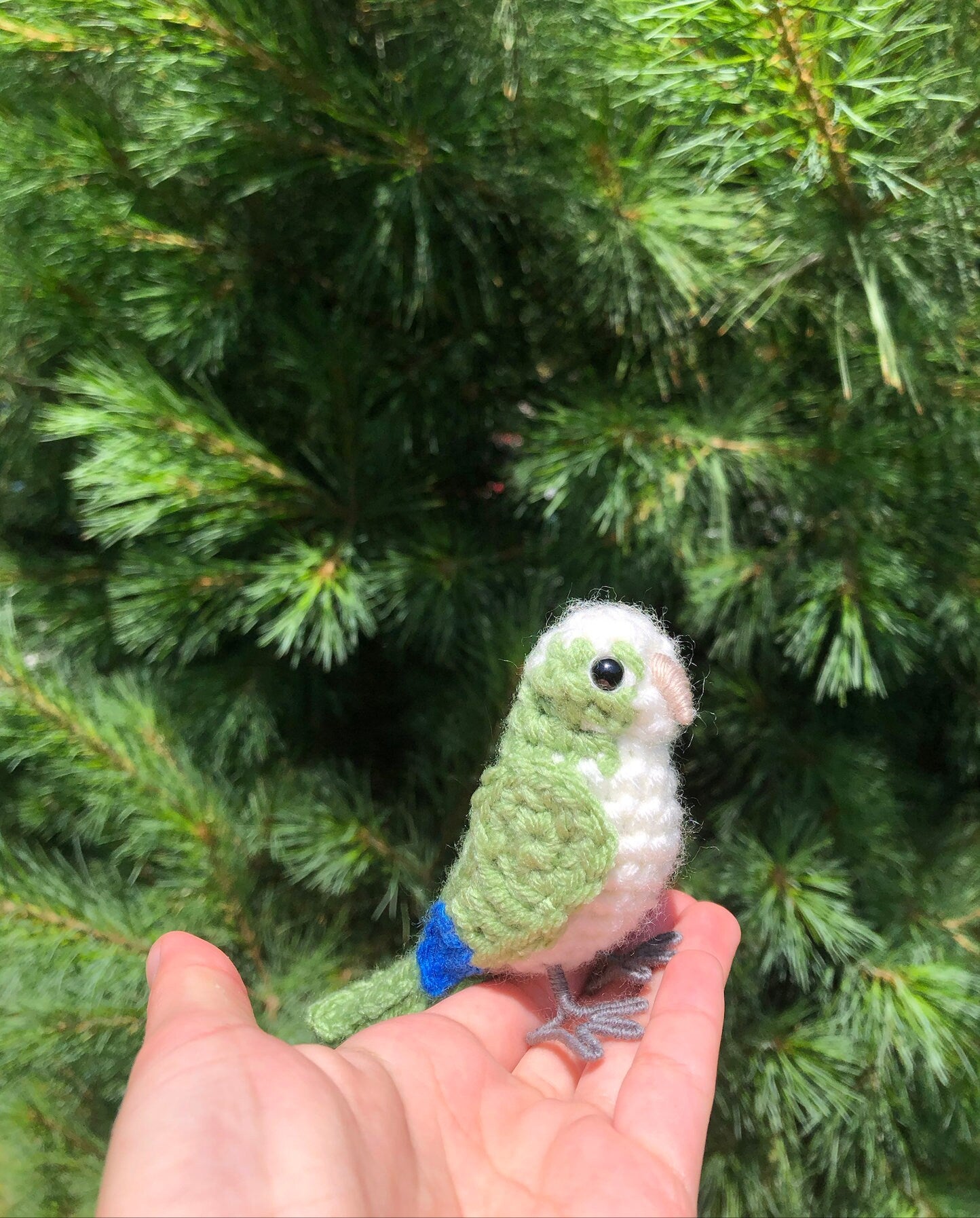 Quaker Parrot Written Crochet Pattern | DIGITAL PDF