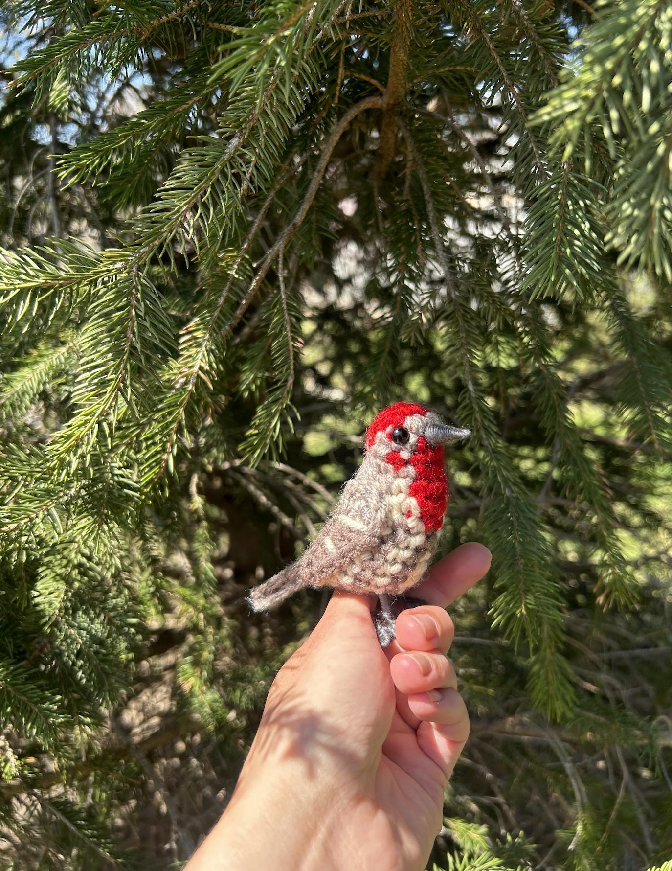 House Finch Written Crochet Pattern | DIGITAL PDF