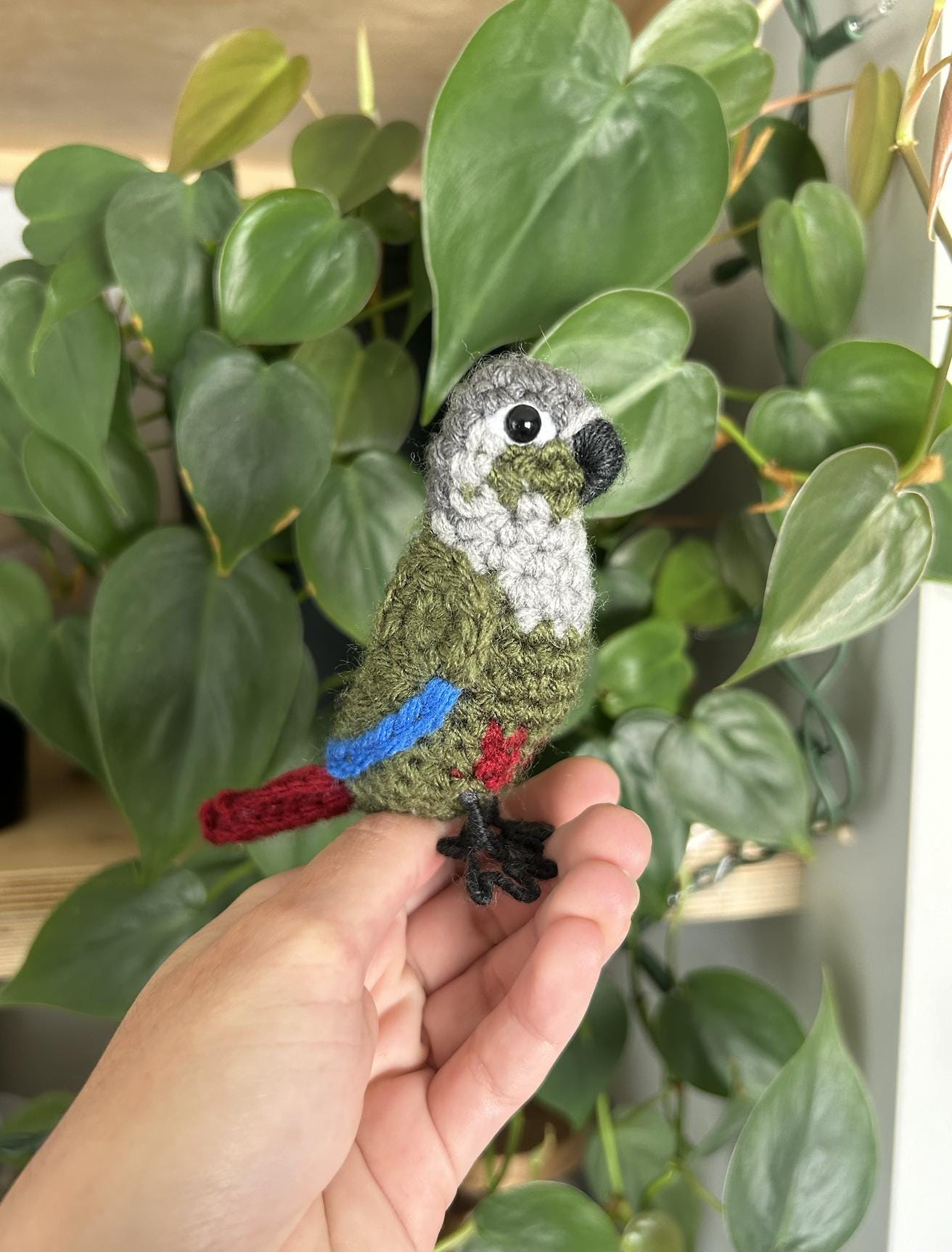 Green Cheek Conure Written Crochet Pattern | DIGITAL PDF