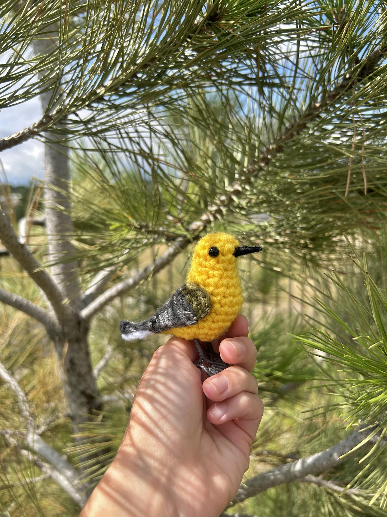 Prothonotary Warbler Written Crochet Pattern | DIGITAL PDF