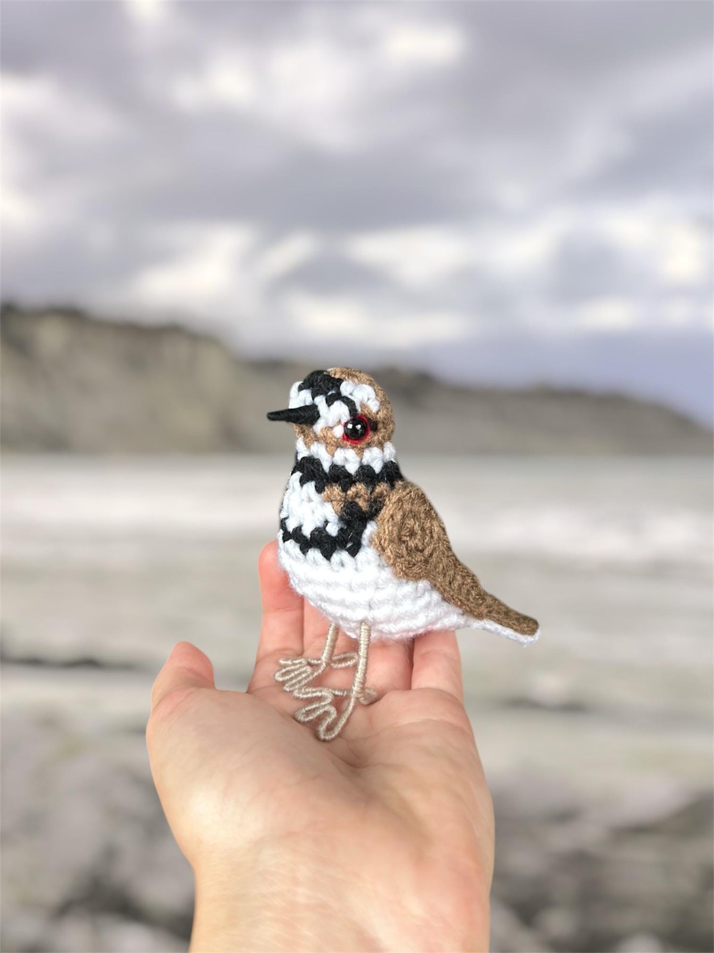 Little Killdeer Written Crochet Pattern | DIGITAL PDF