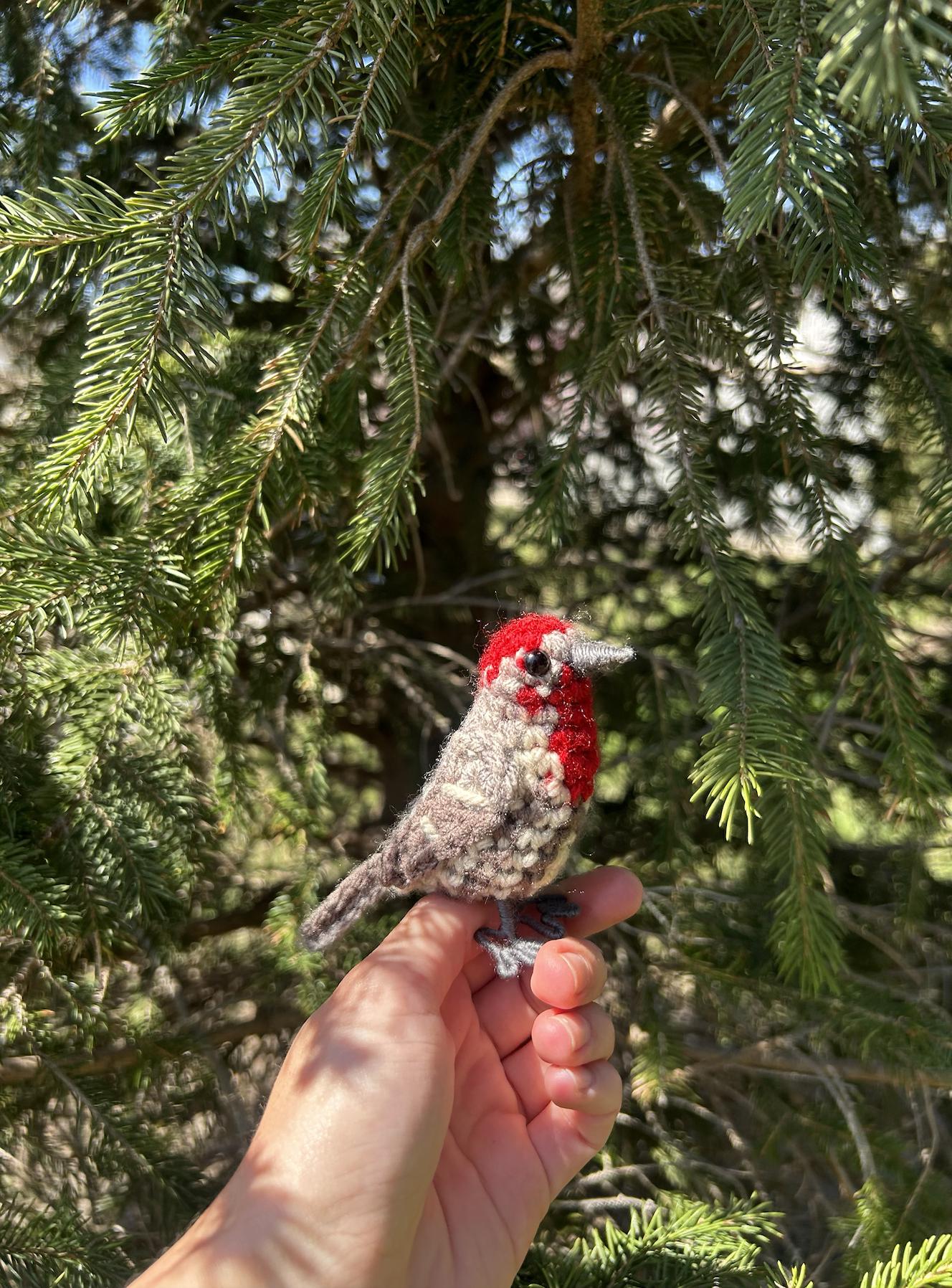 House Finch Written Crochet Pattern | DIGITAL PDF